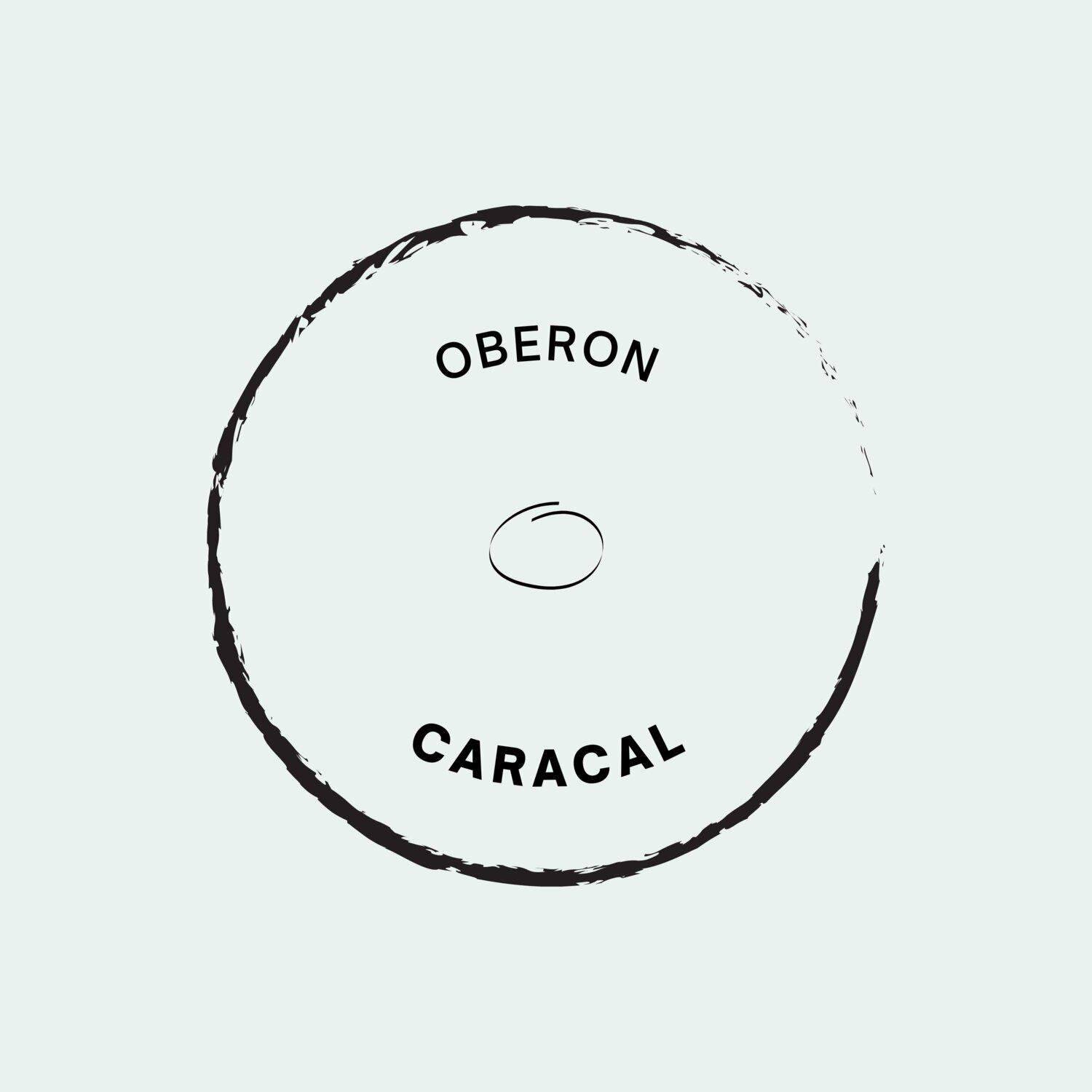Релиз Caracal