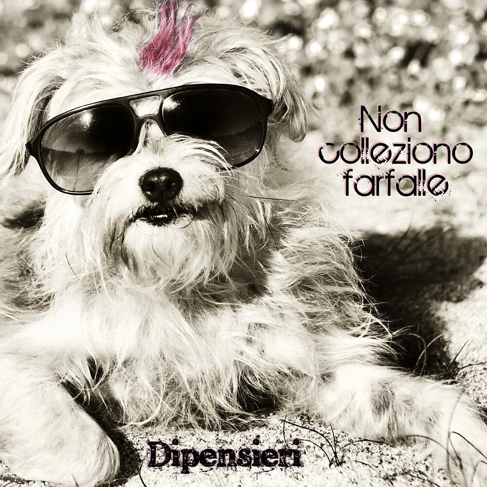 Dipensieri