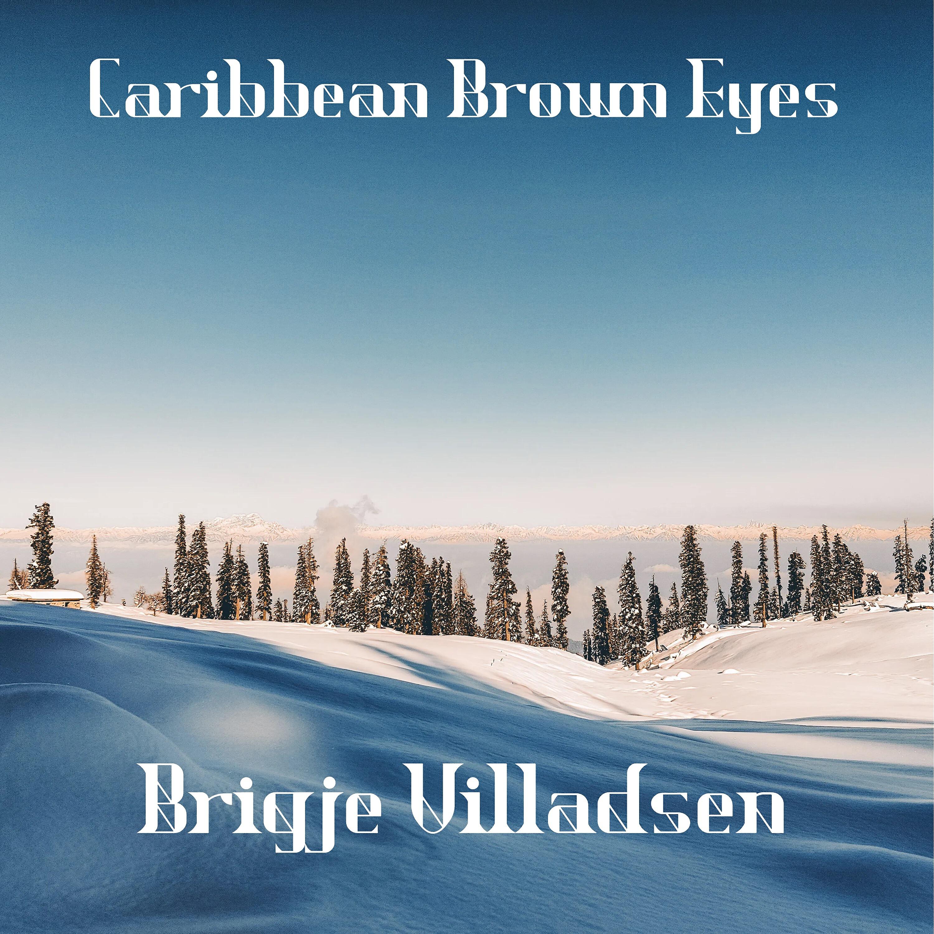 Brigje Villadsen