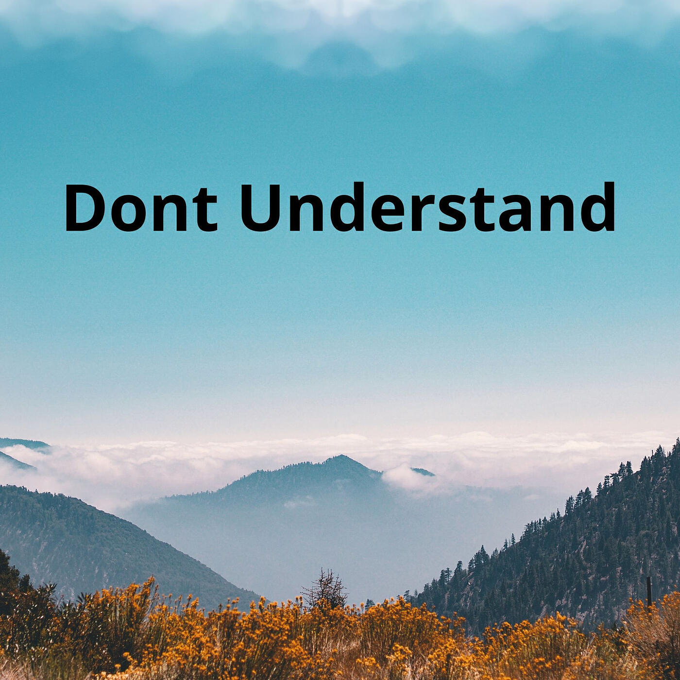 Постер альбома Dont Understand