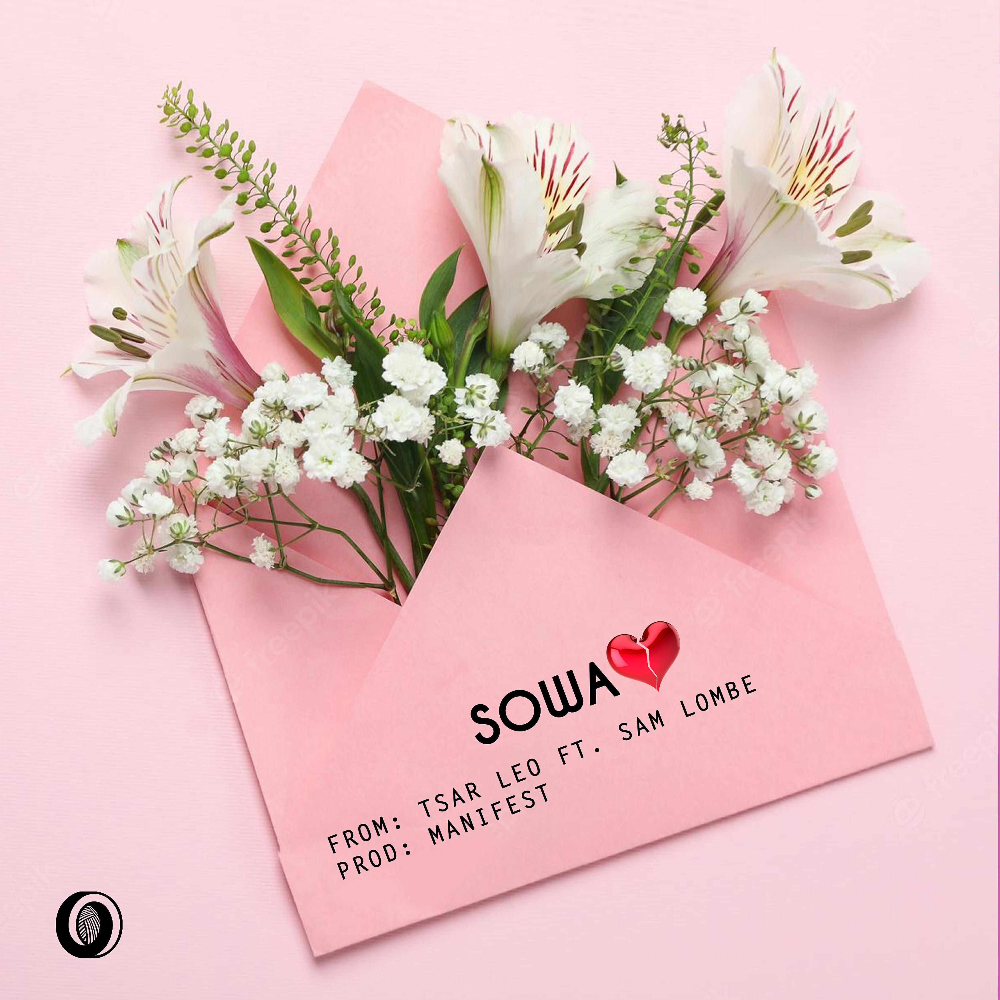 Релиз Sowa