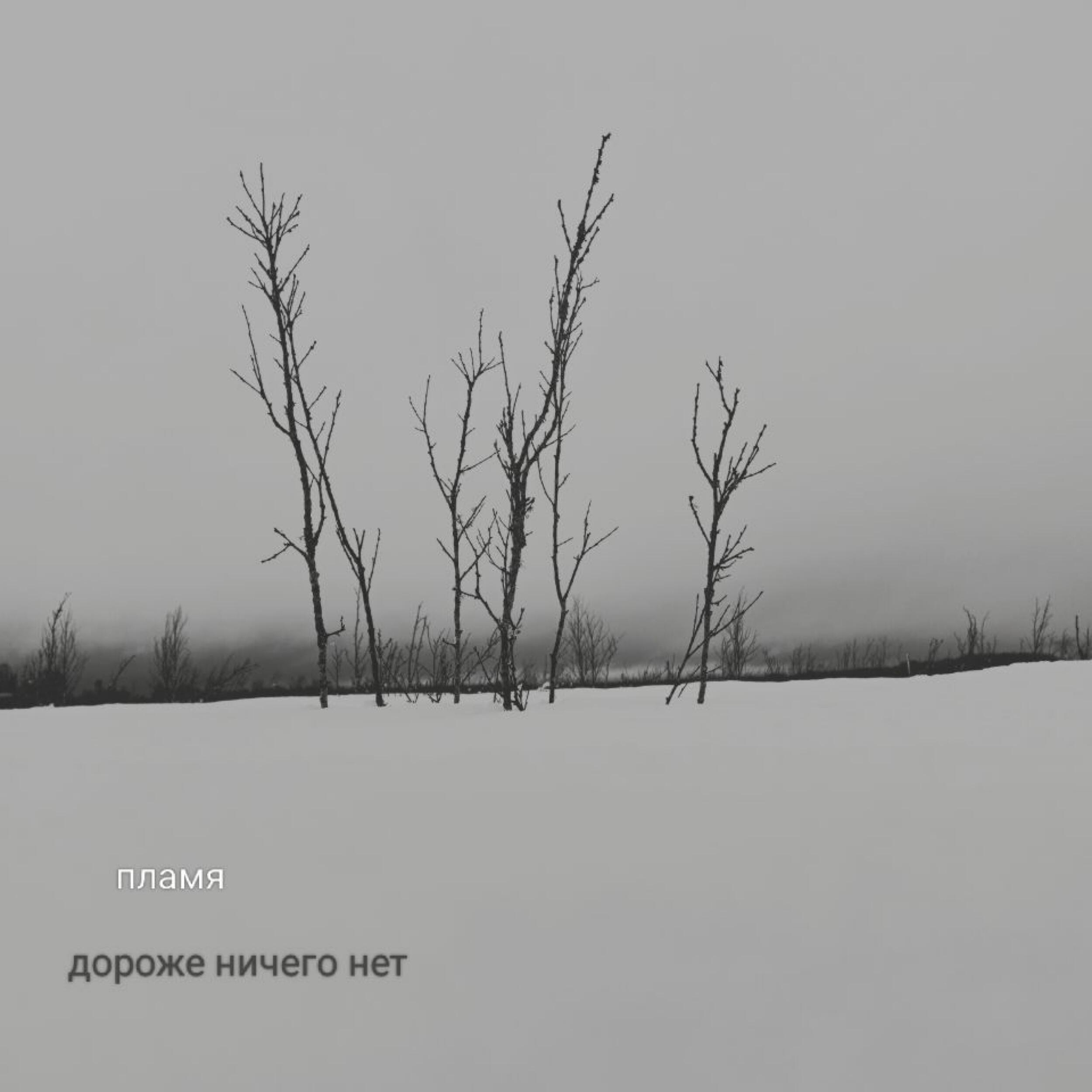 Постер альбома Дороже ничего нет
