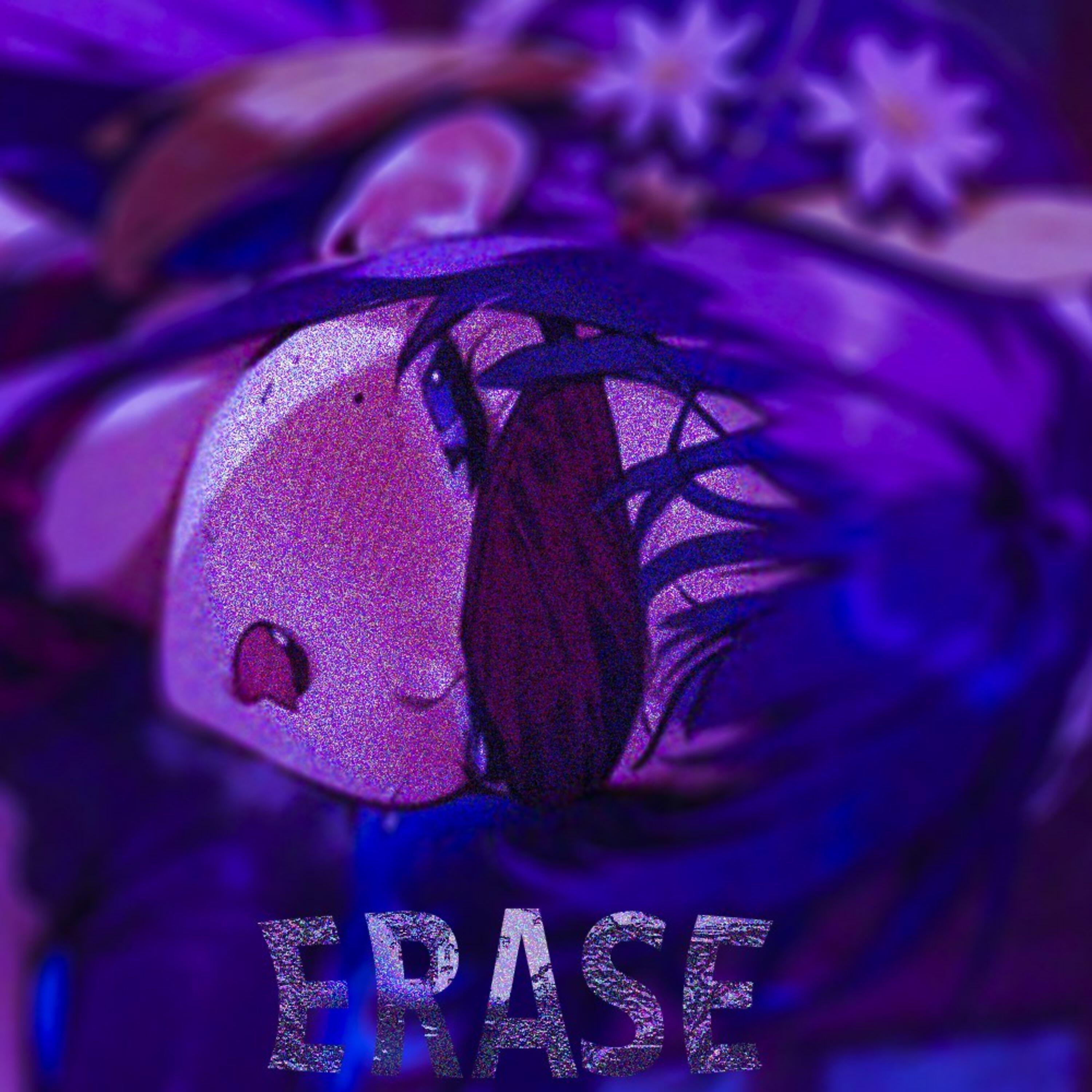 Постер альбома ERASE