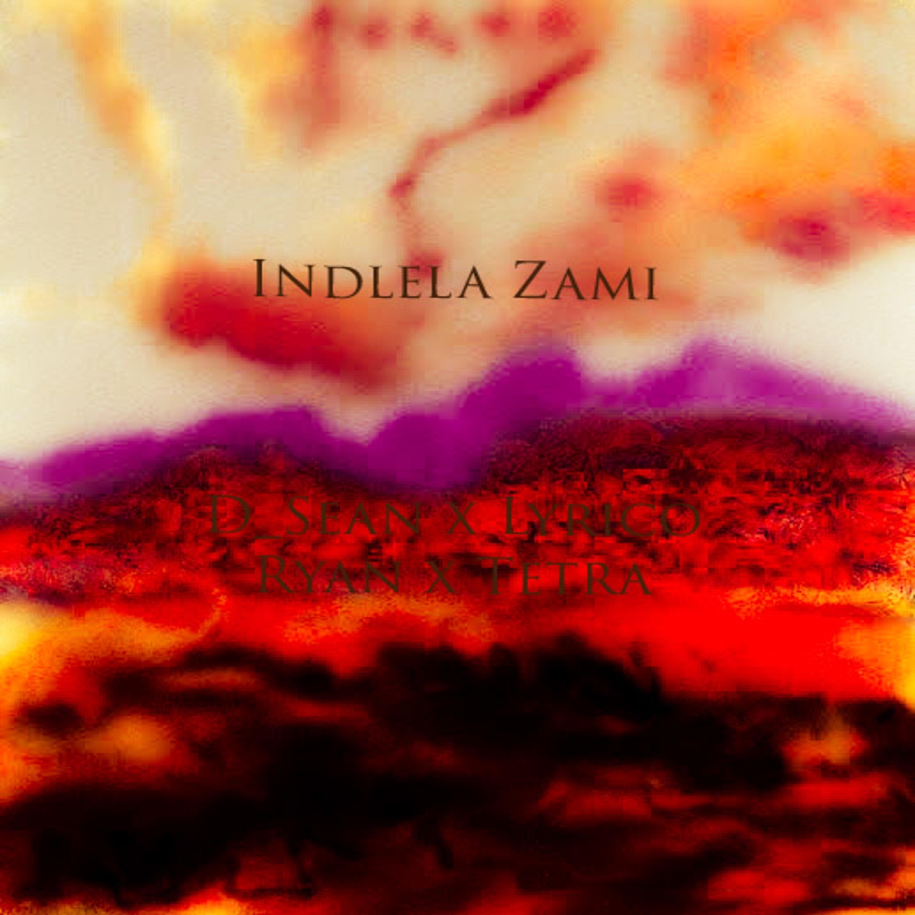 Релиз Indlela Zami