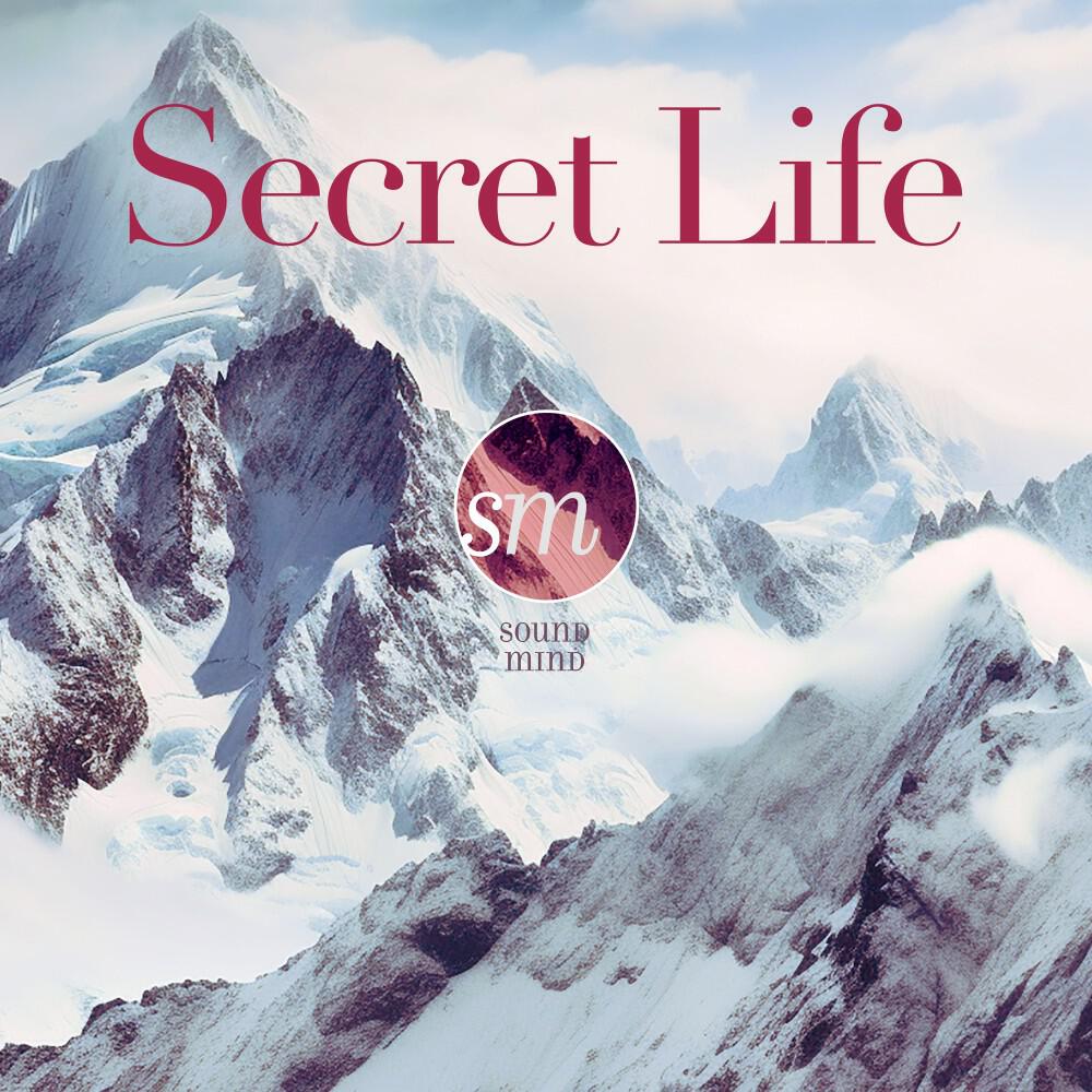 Релиз Secret Life (Ambient Deluxe)