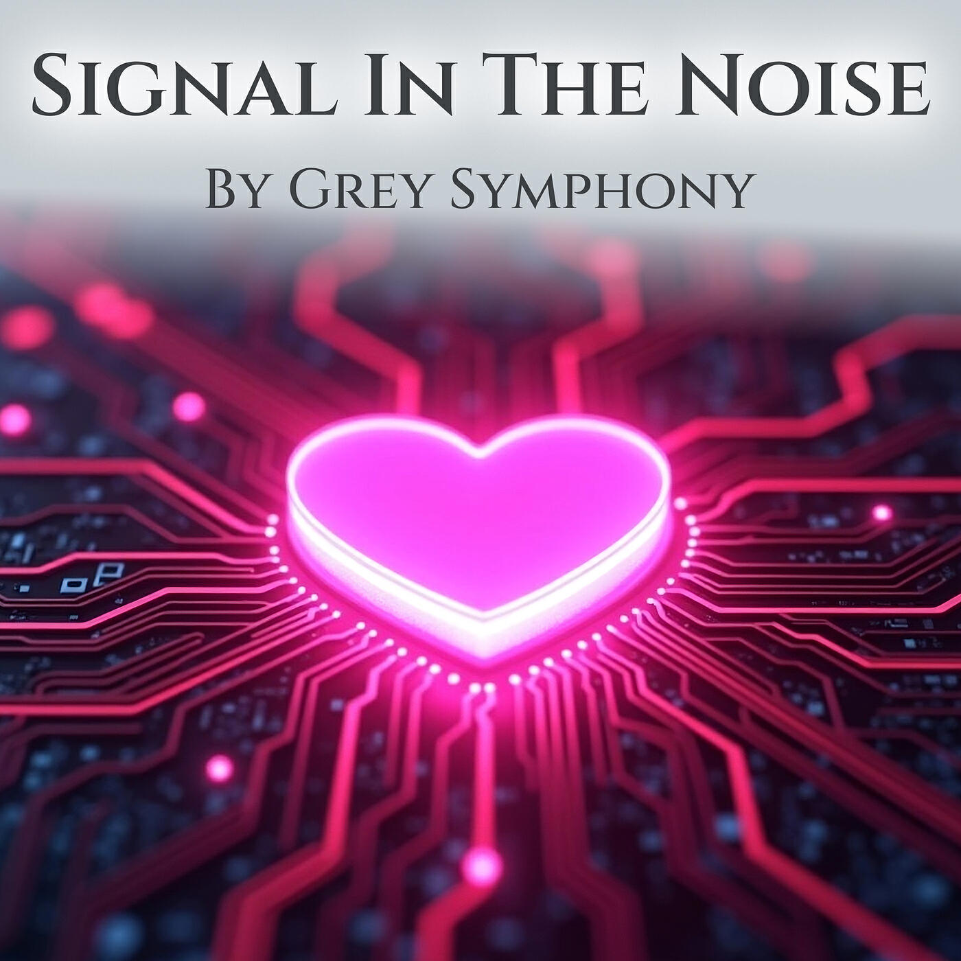 Релиз Signal in the Noise