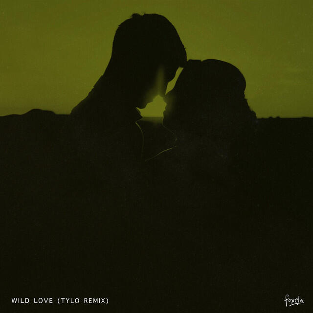 Релиз Wild Love (Tylo Remix)