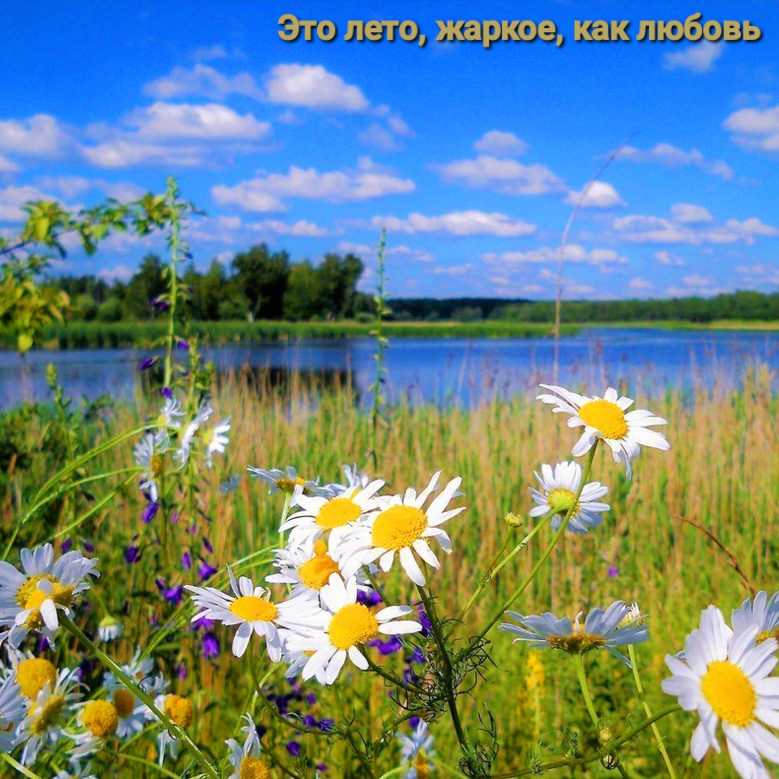 Релиз Это лето, жаркое, как любовь