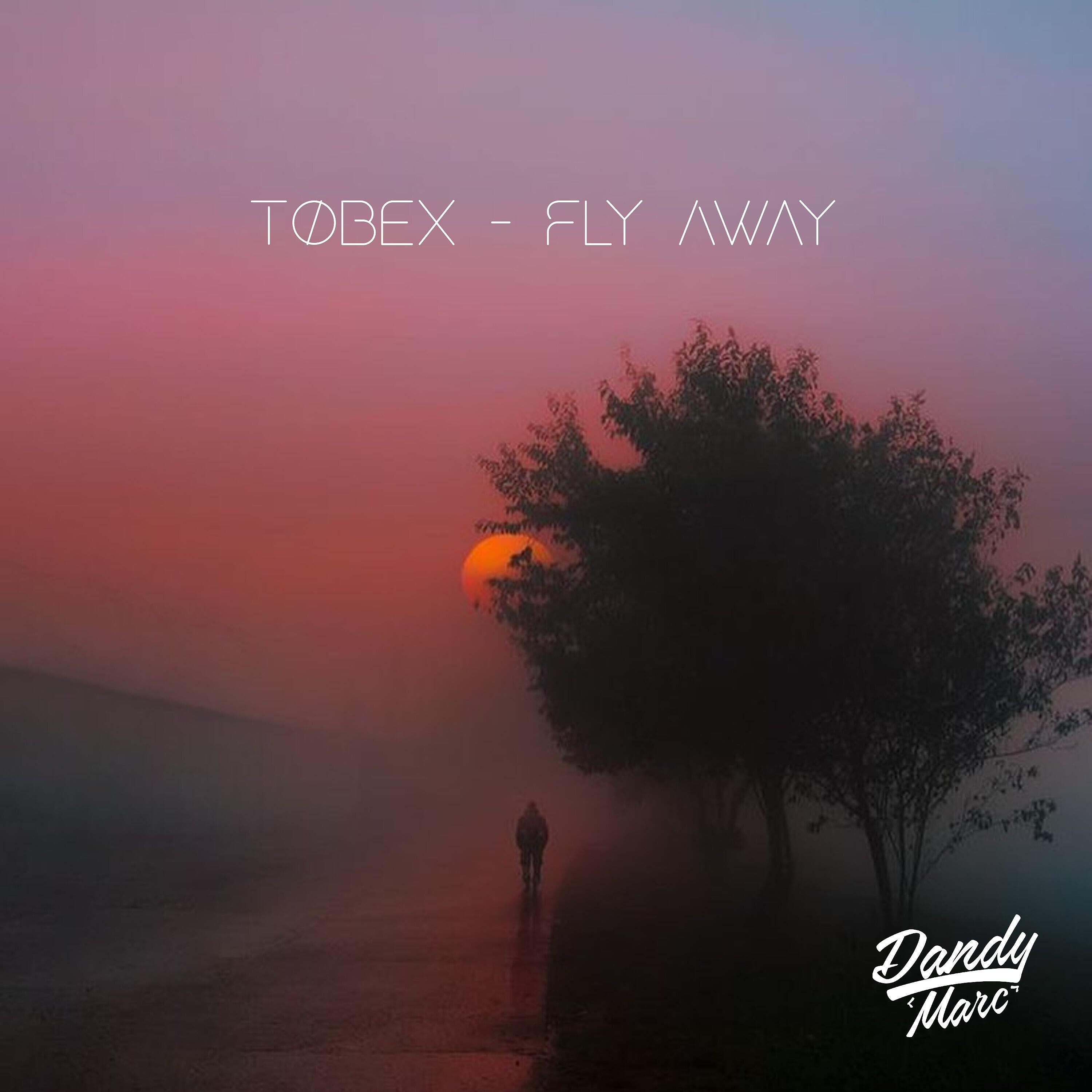 Релиз Fly Away