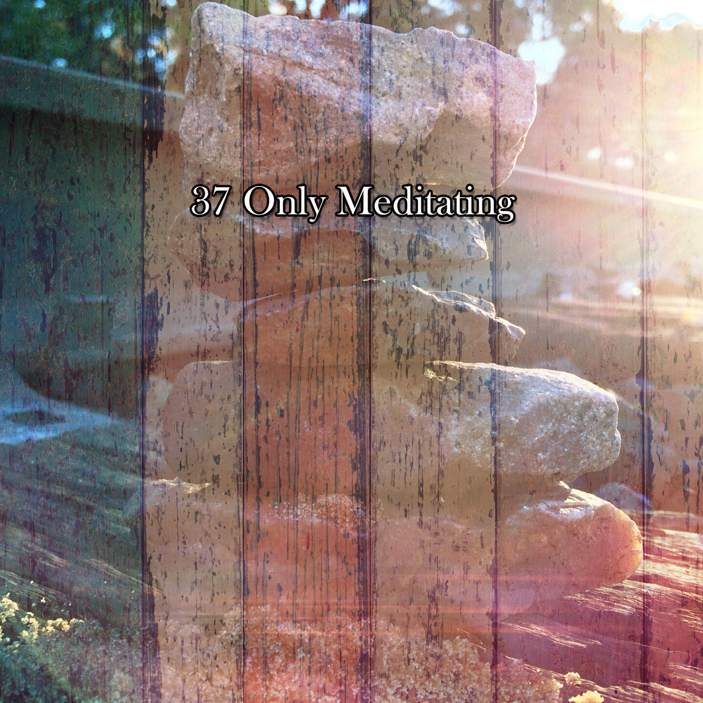 Релиз 37 Only Meditating