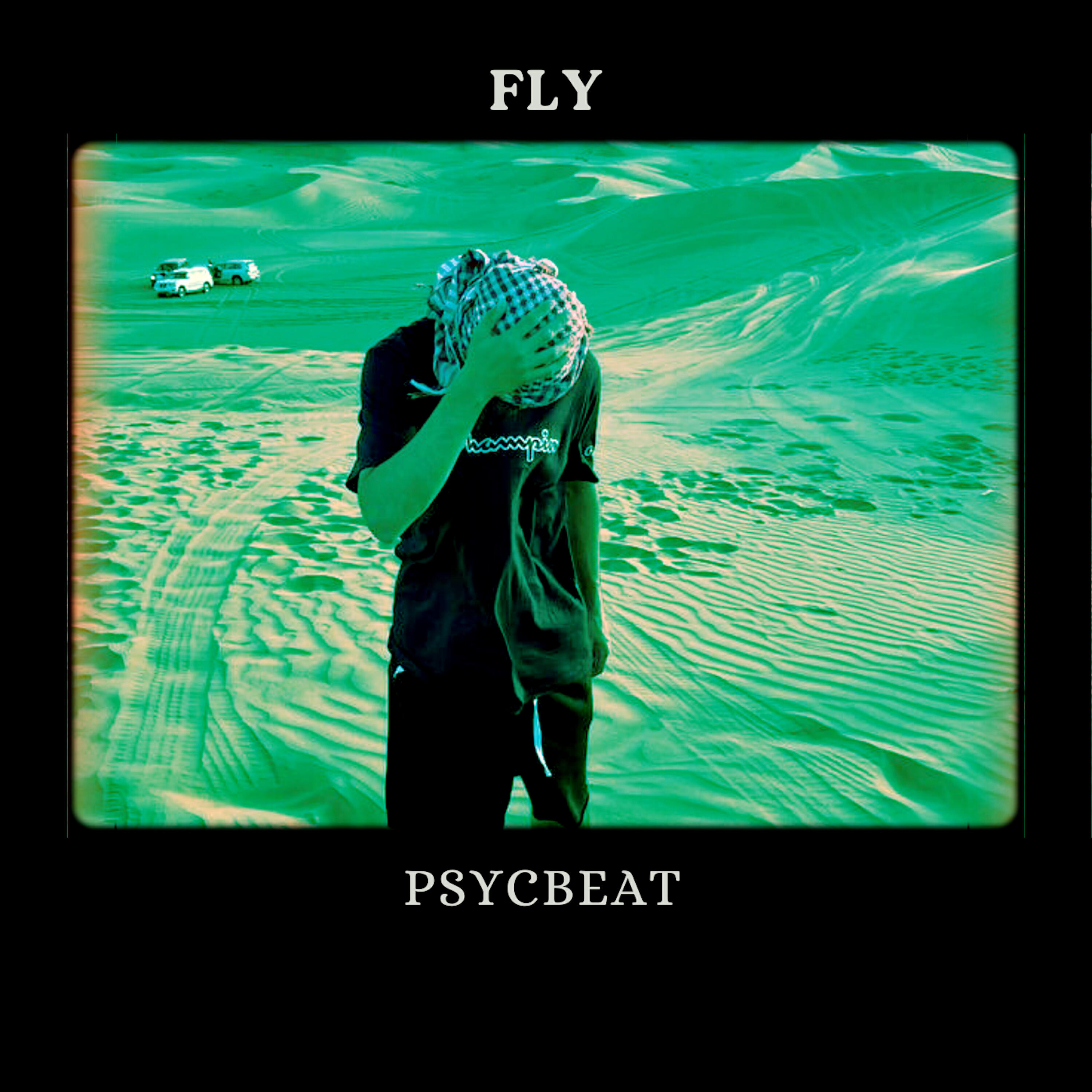 Постер альбома Fly