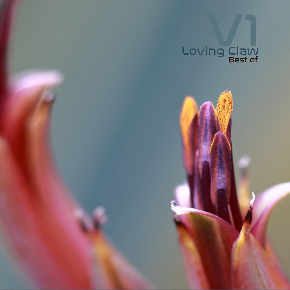 Loving Claw