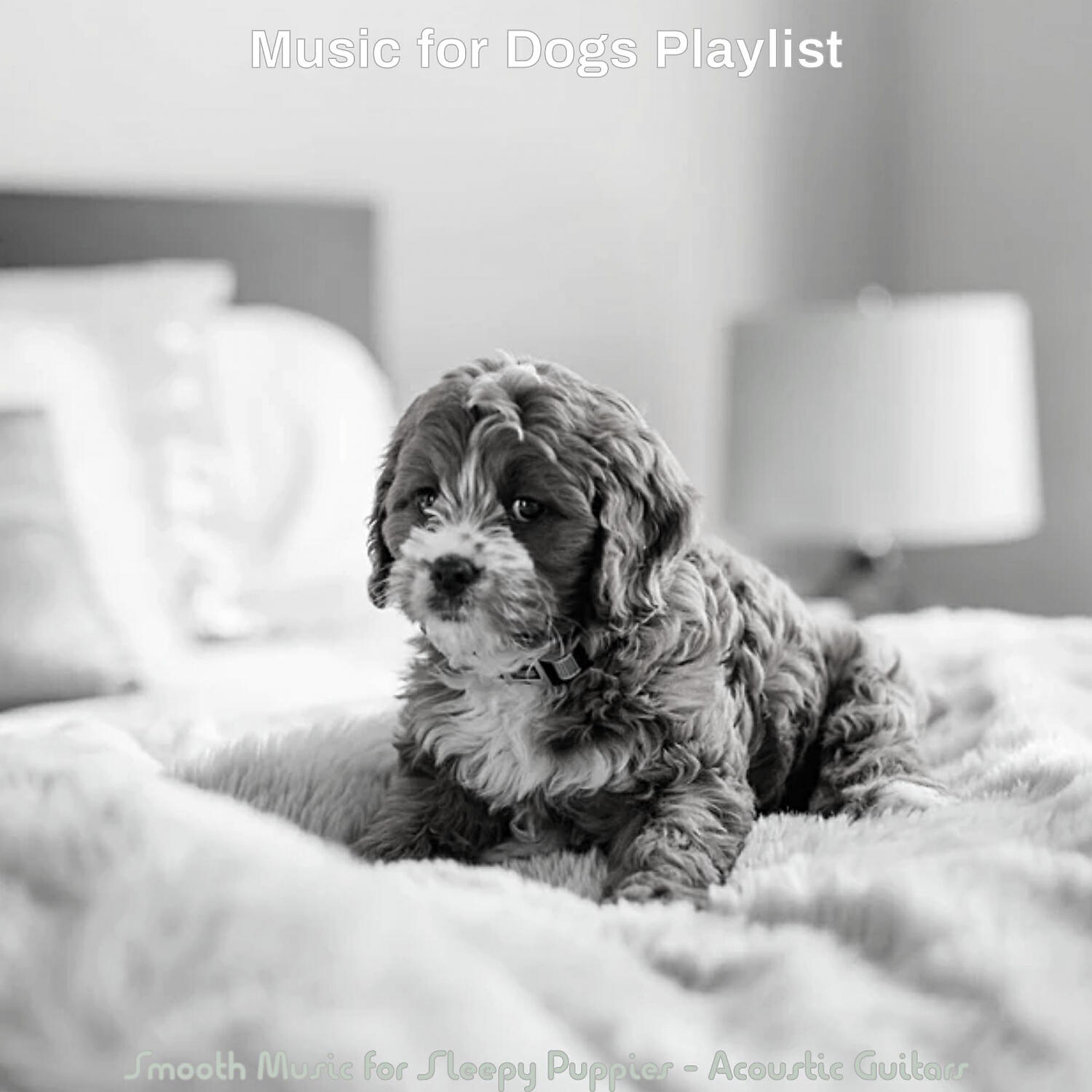 Релиз Smooth Music for Sleepy Puppies - Acoustic Guitars