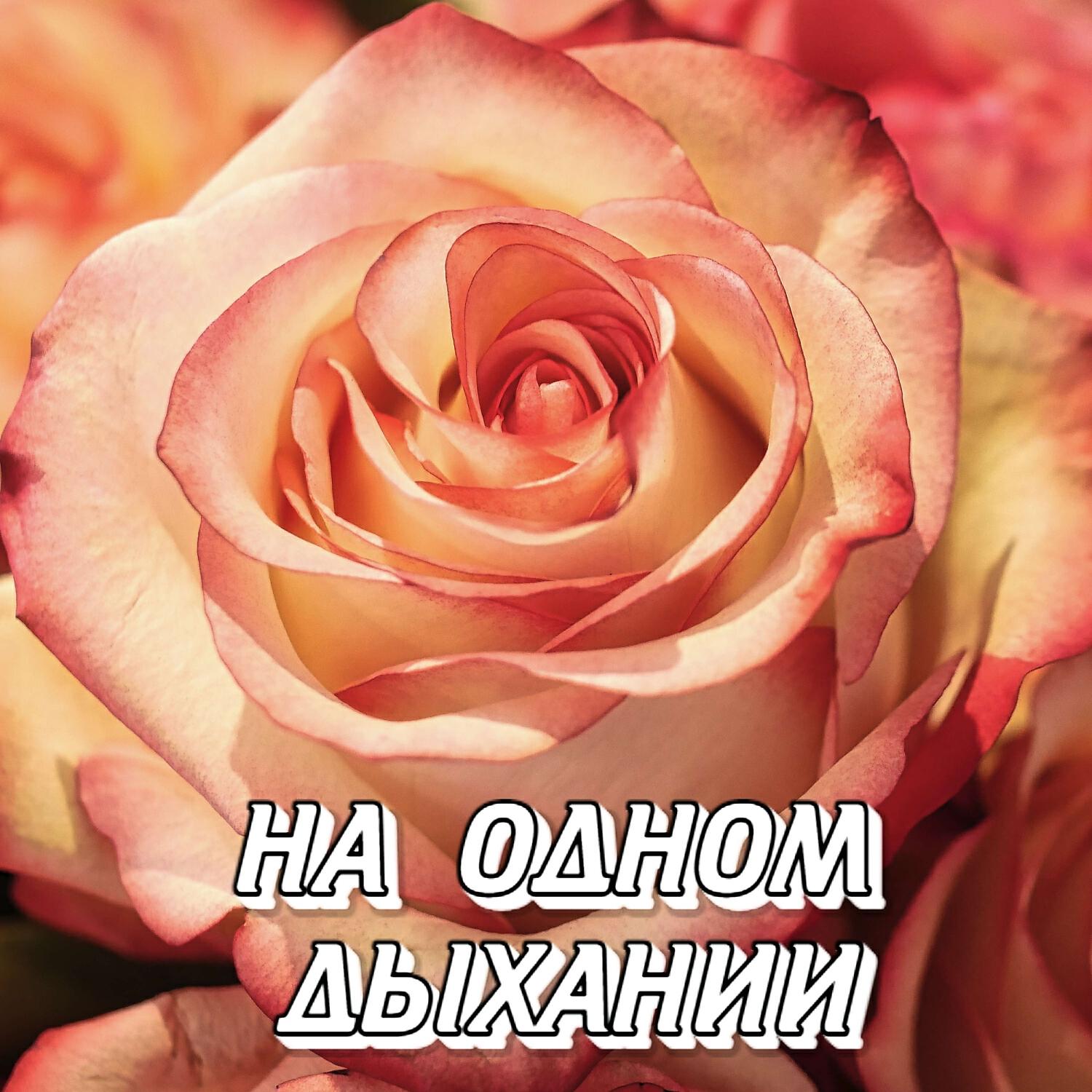 Релиз НА ОДНОМ ДЫХАНИИ
