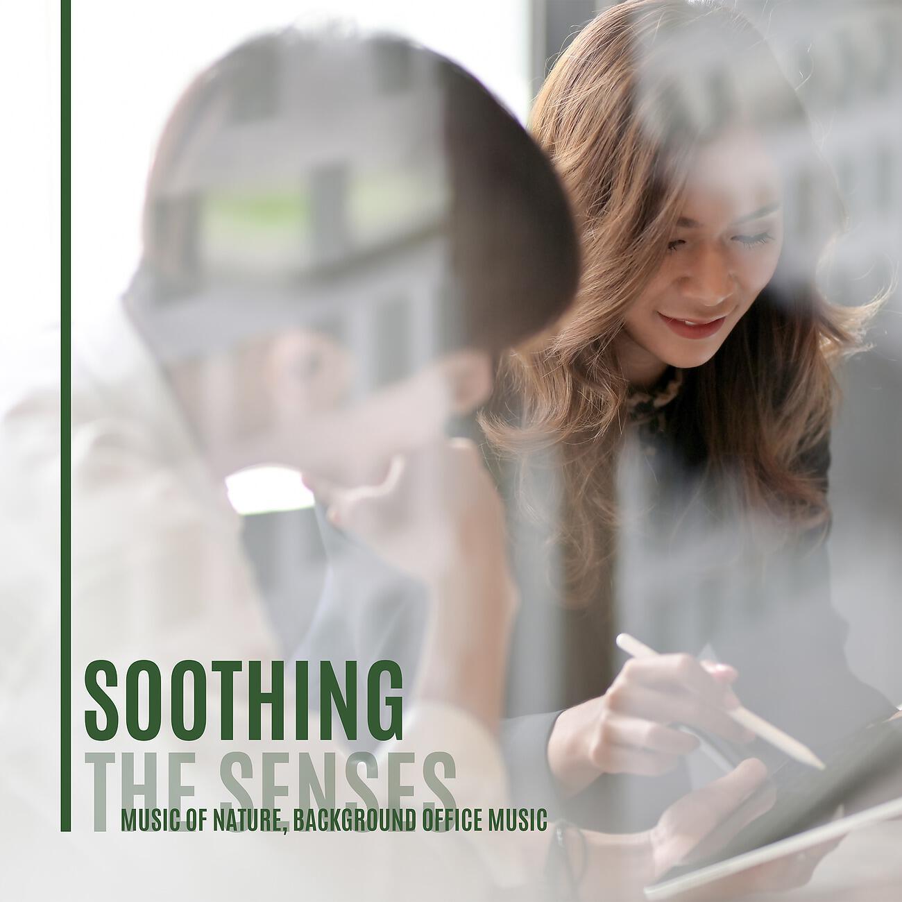 Релиз Soothing the Senses Music of Nature, Background Office Music