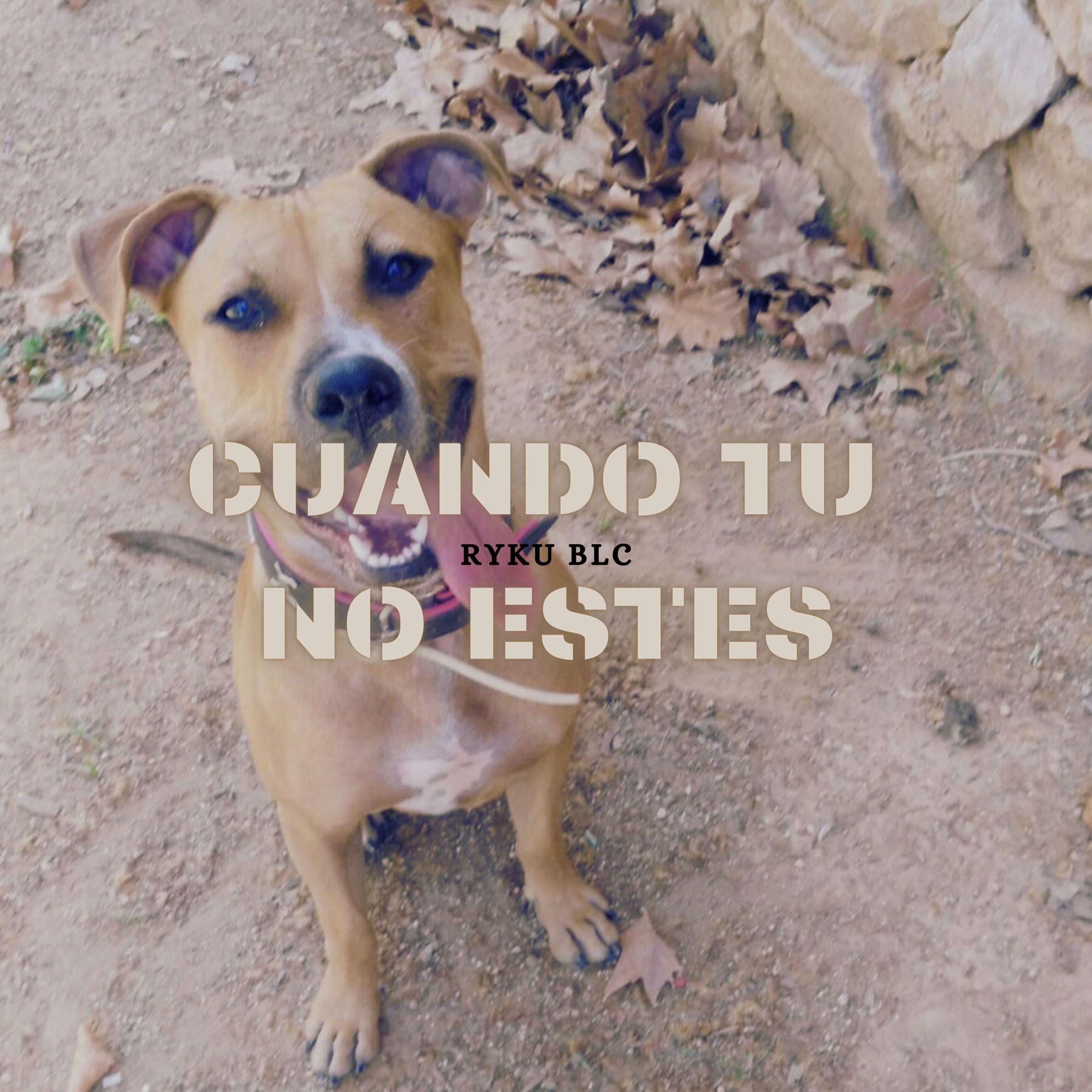 Релиз Cuando Tu No Estés