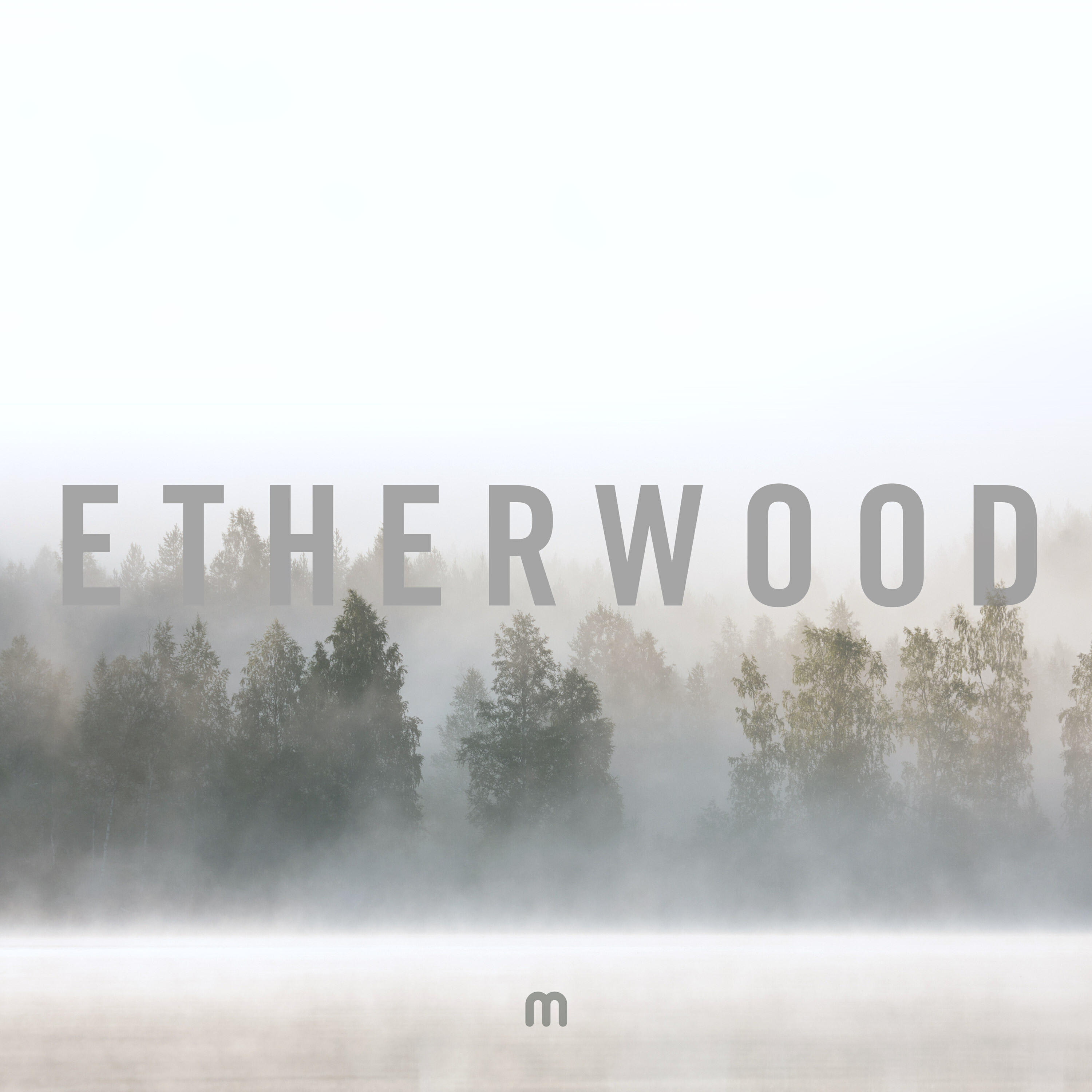 Релиз In Stillness