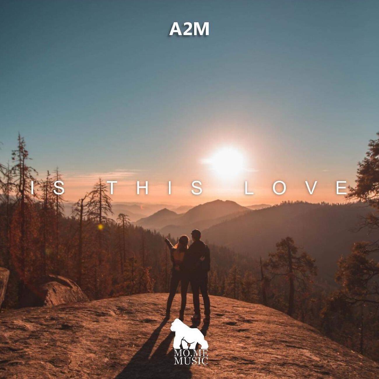 Релиз Is This Love