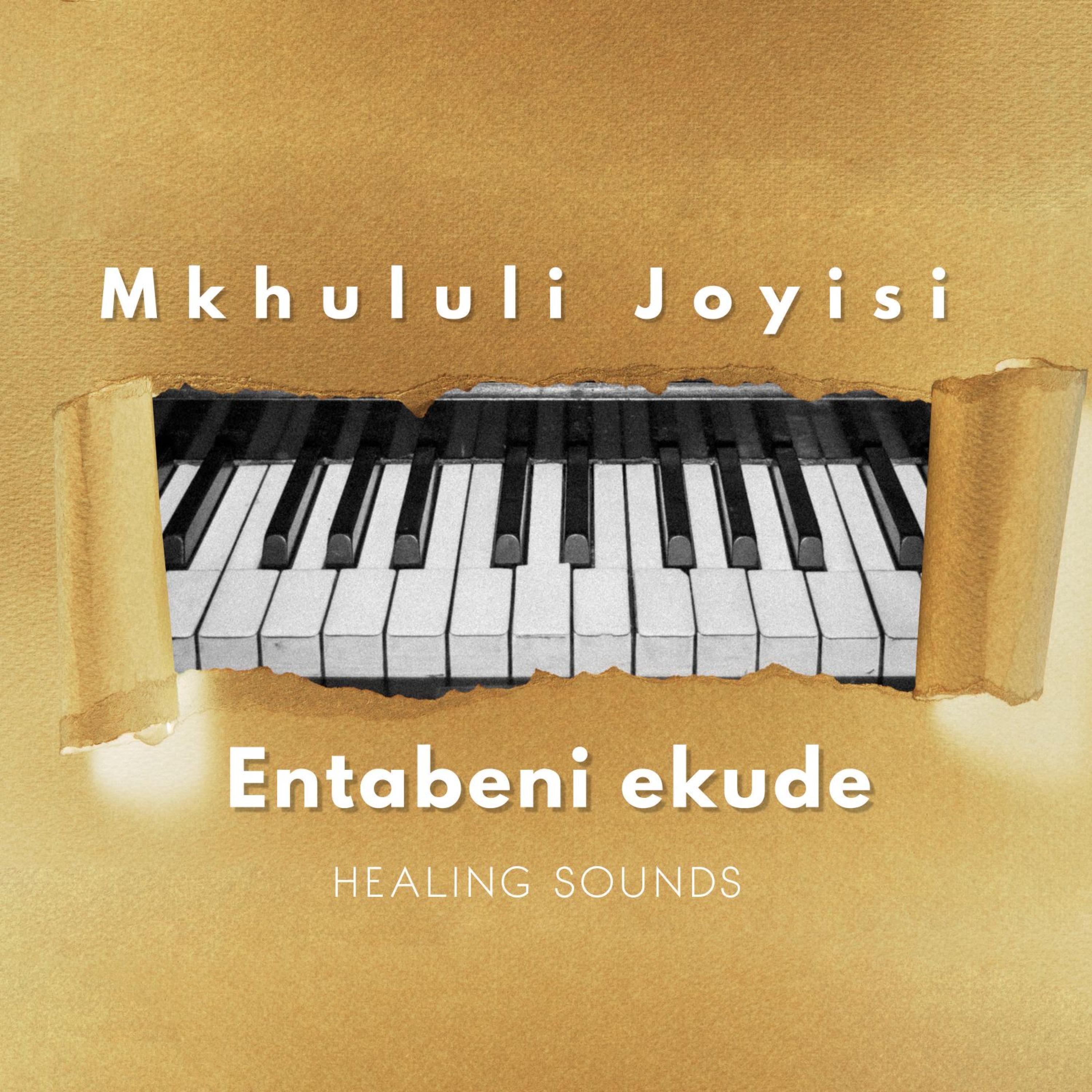 Mkhululi Joyisi