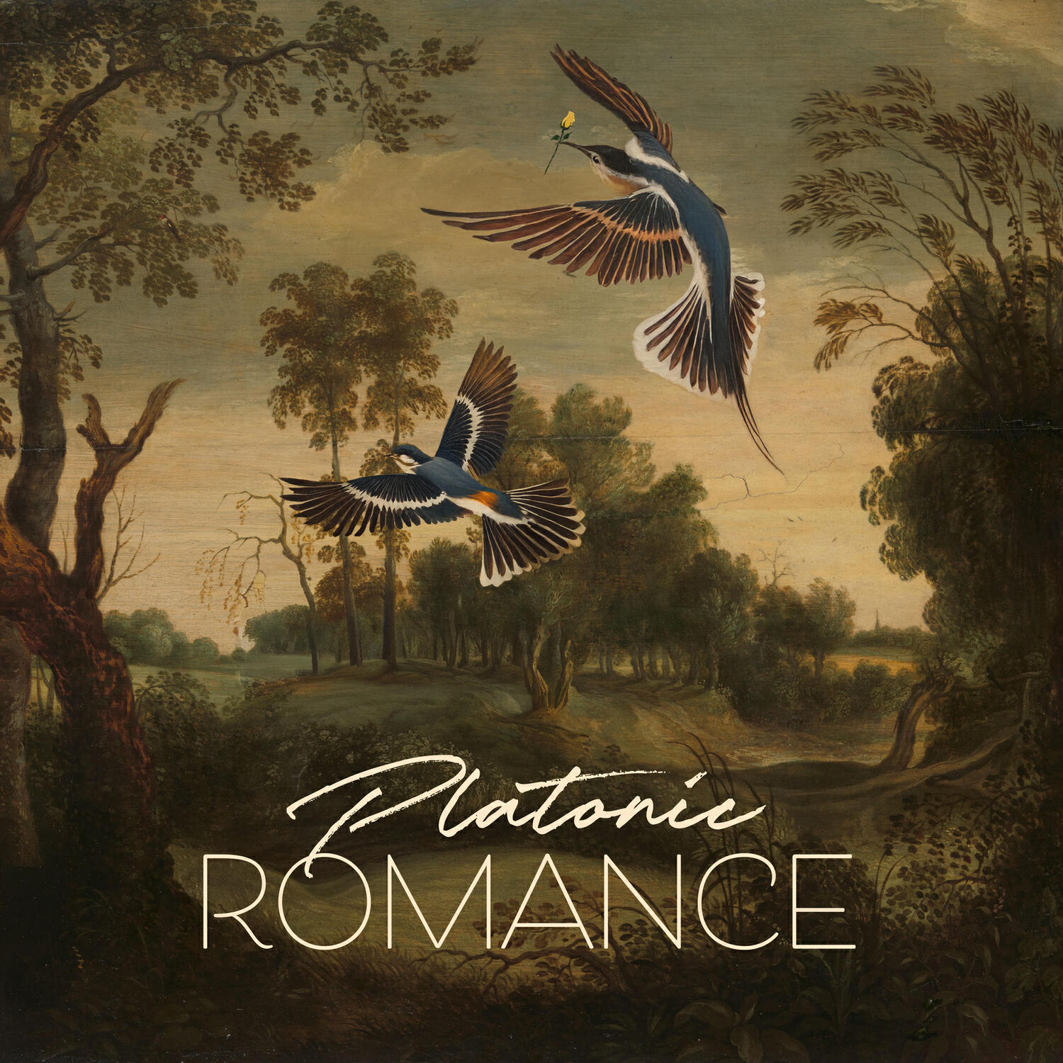 Релиз Platonic Romance