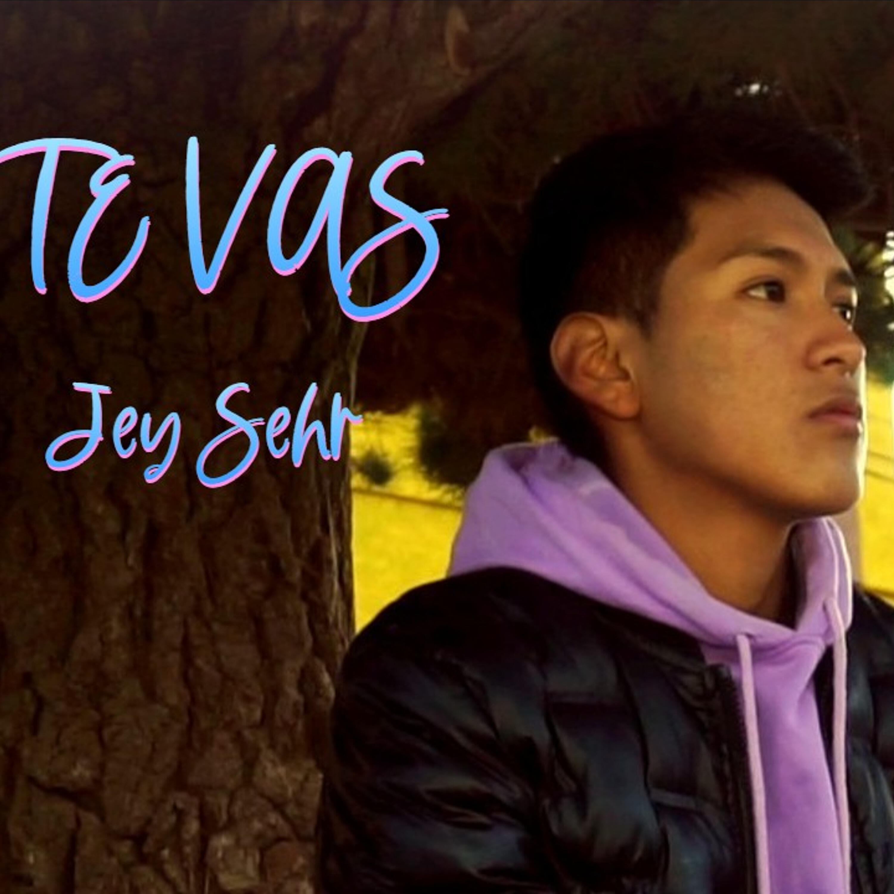 Релиз Te Vas