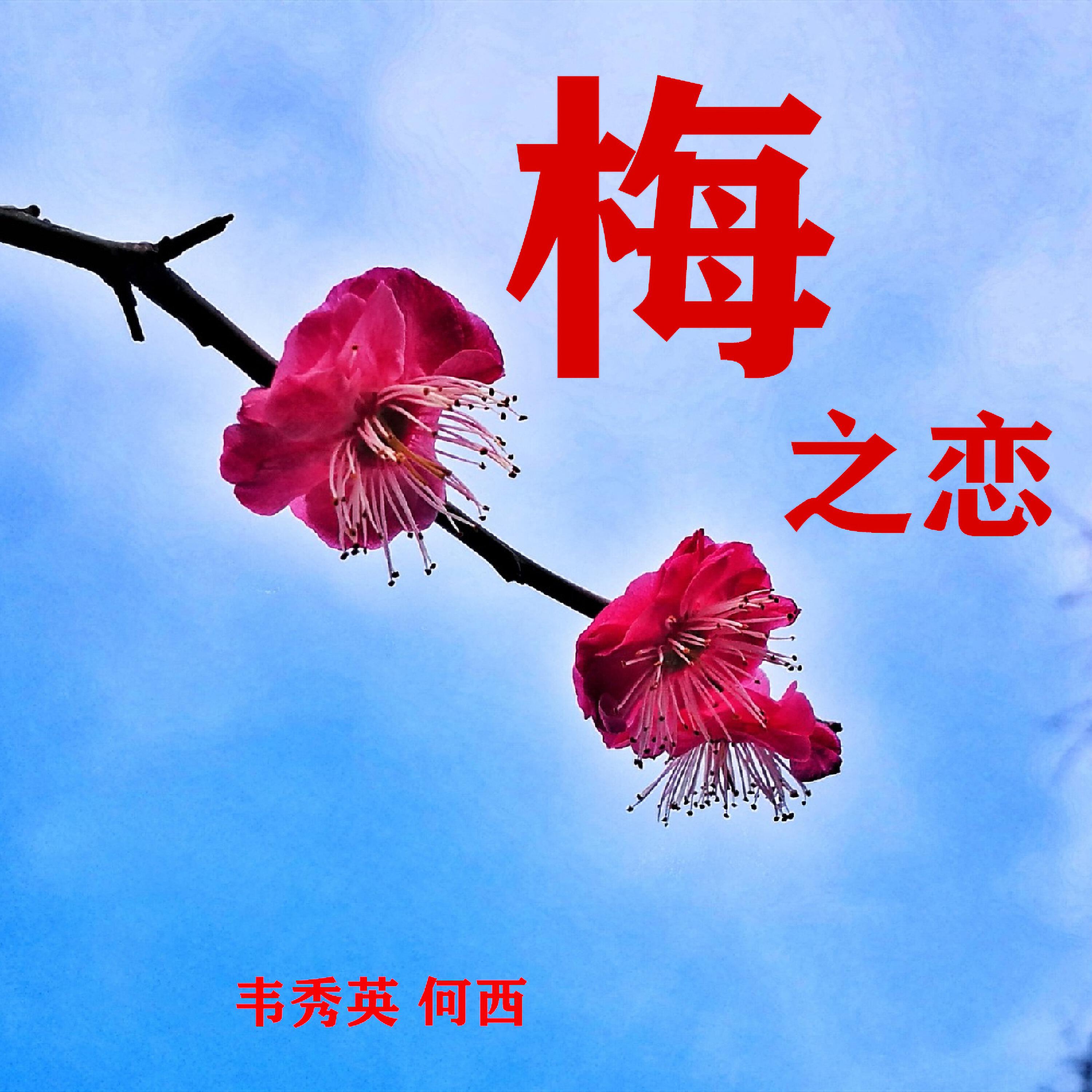 Релиз 梅之恋