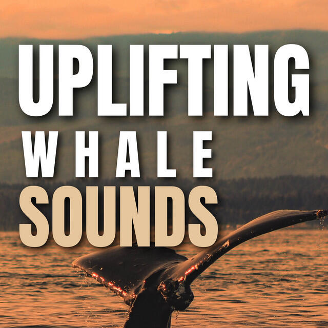 Релиз Uplifting Whale Sounds