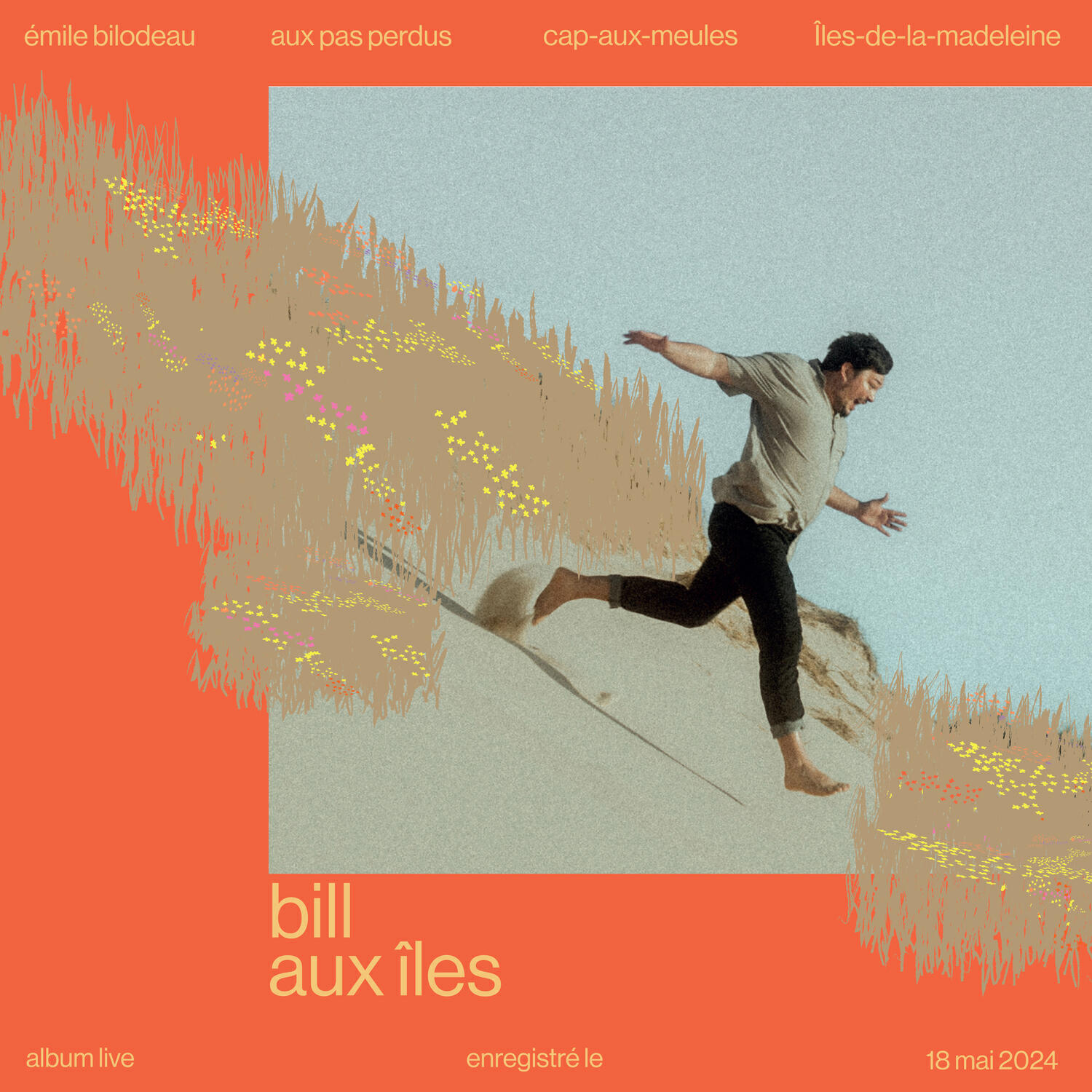 Релиз Bill aux îles (Live)