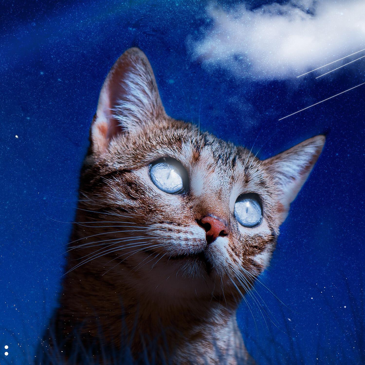 Релиз Dreams