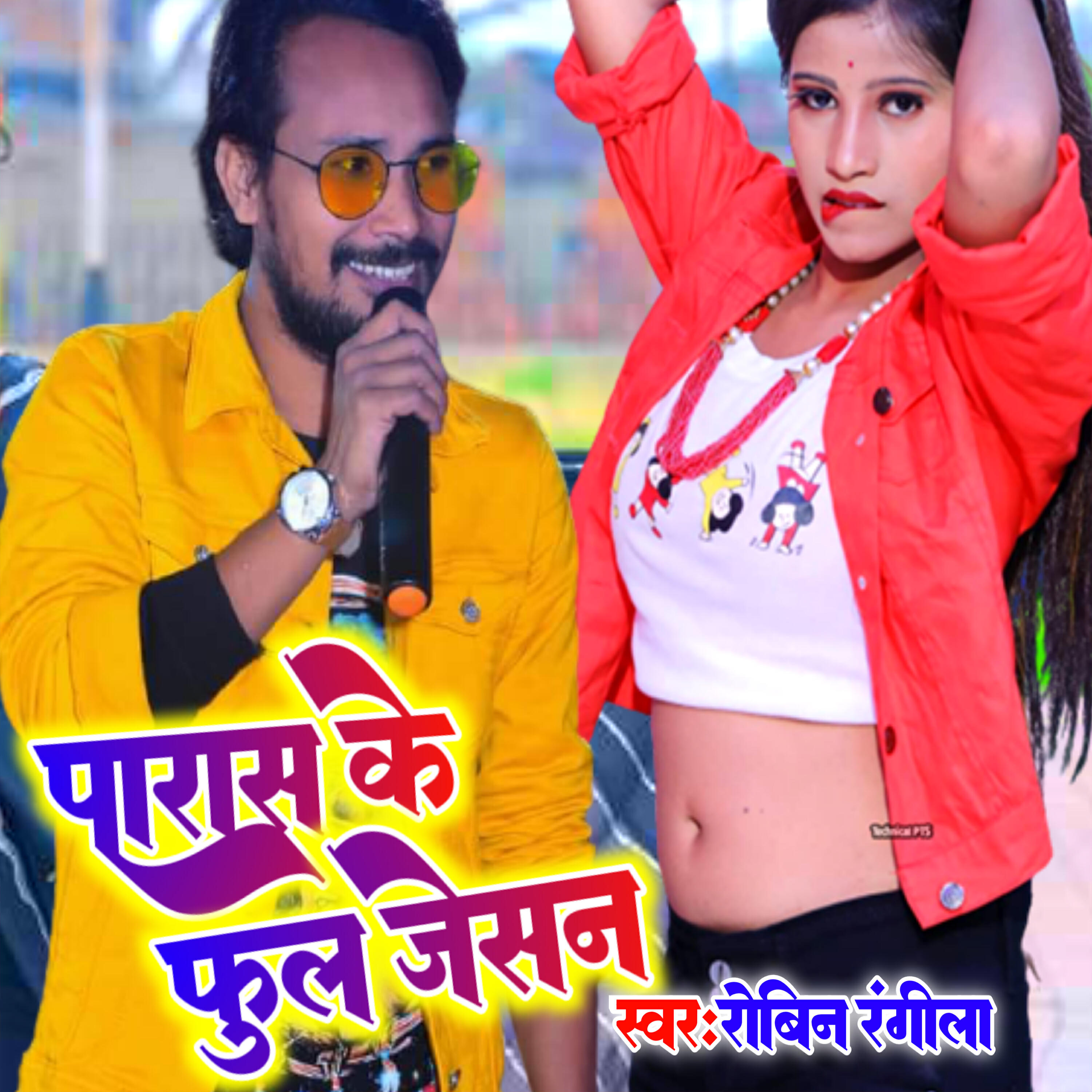Robin Rangeela