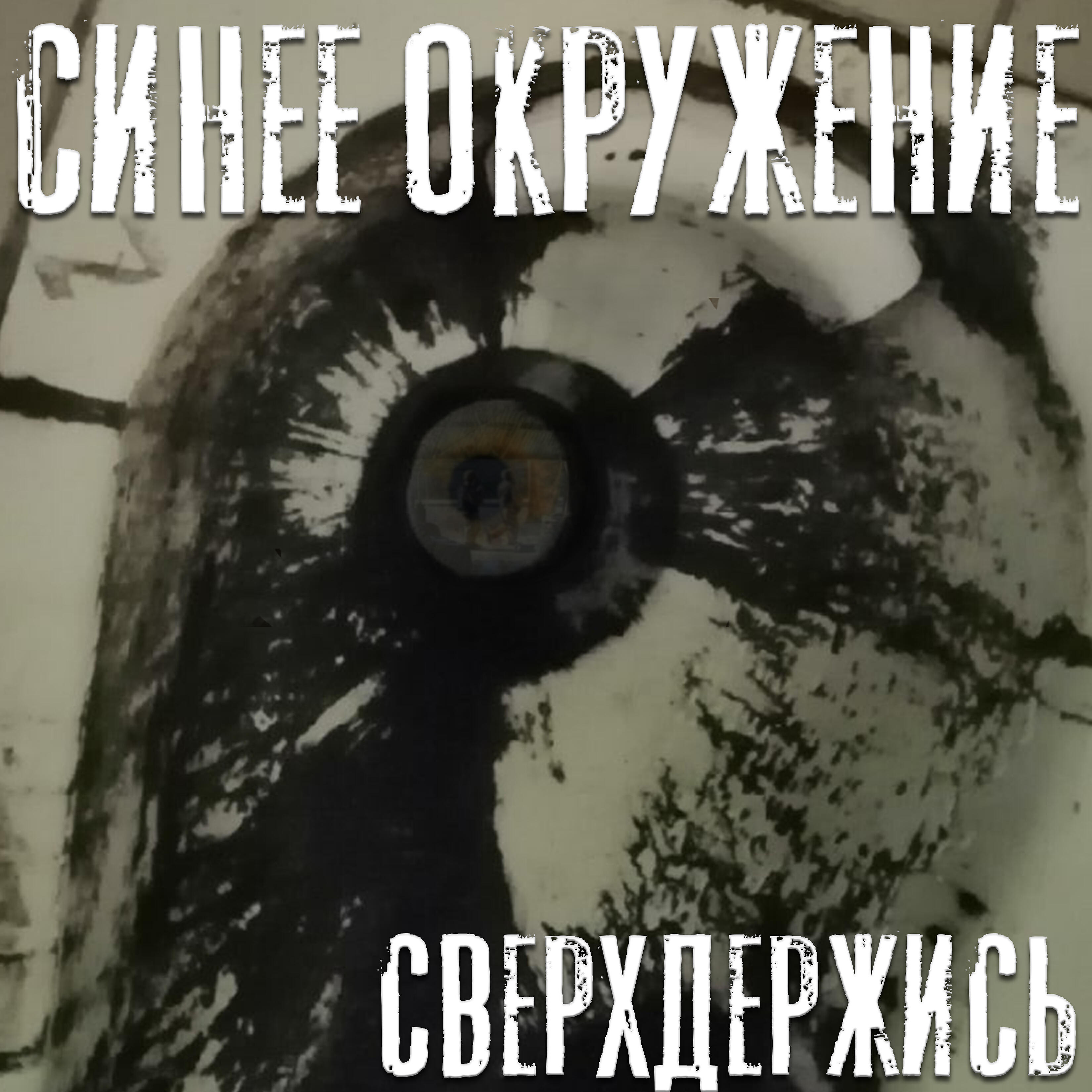 Синее Окружение