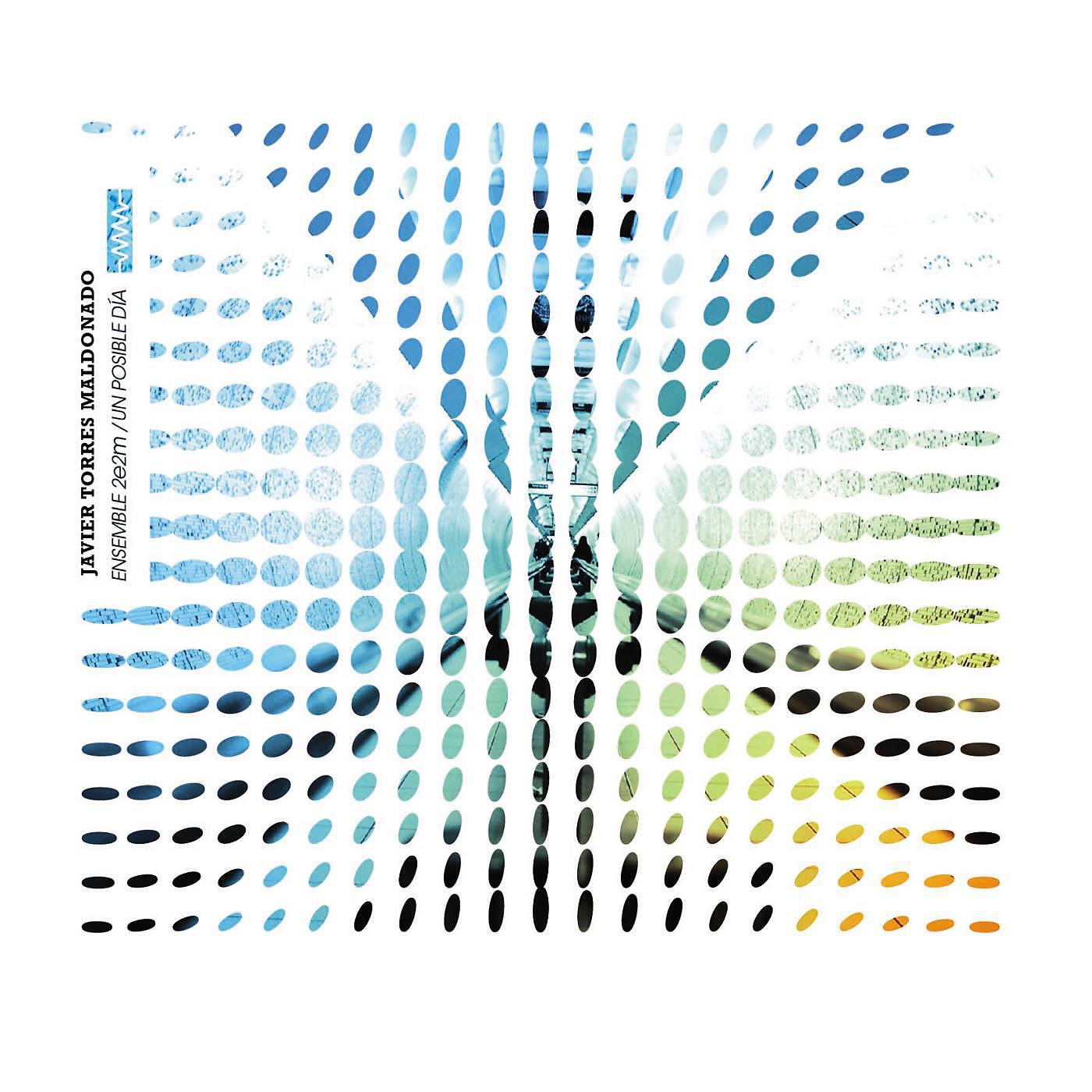 Javier Torres Maldonado