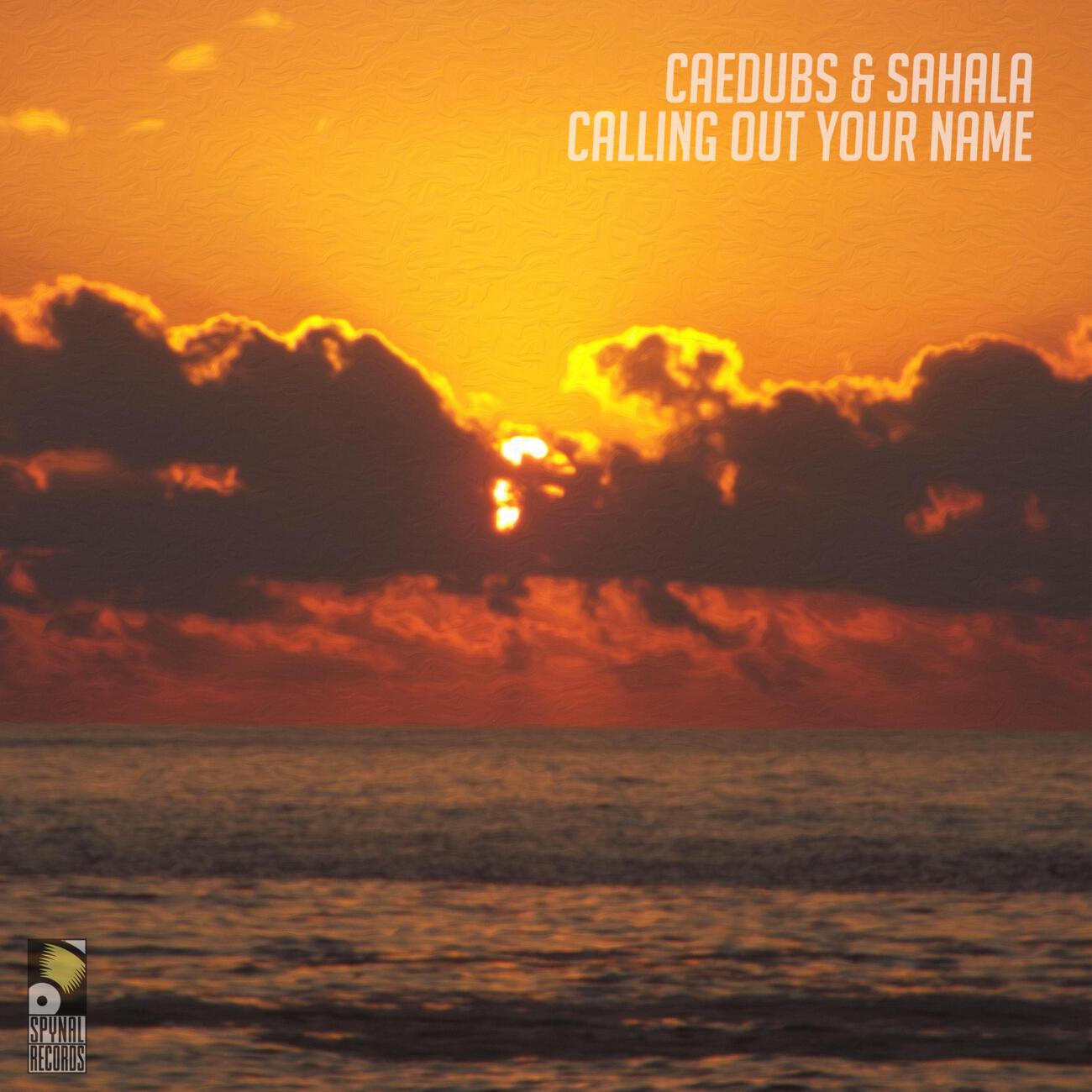 Релиз Calling Out Your Name