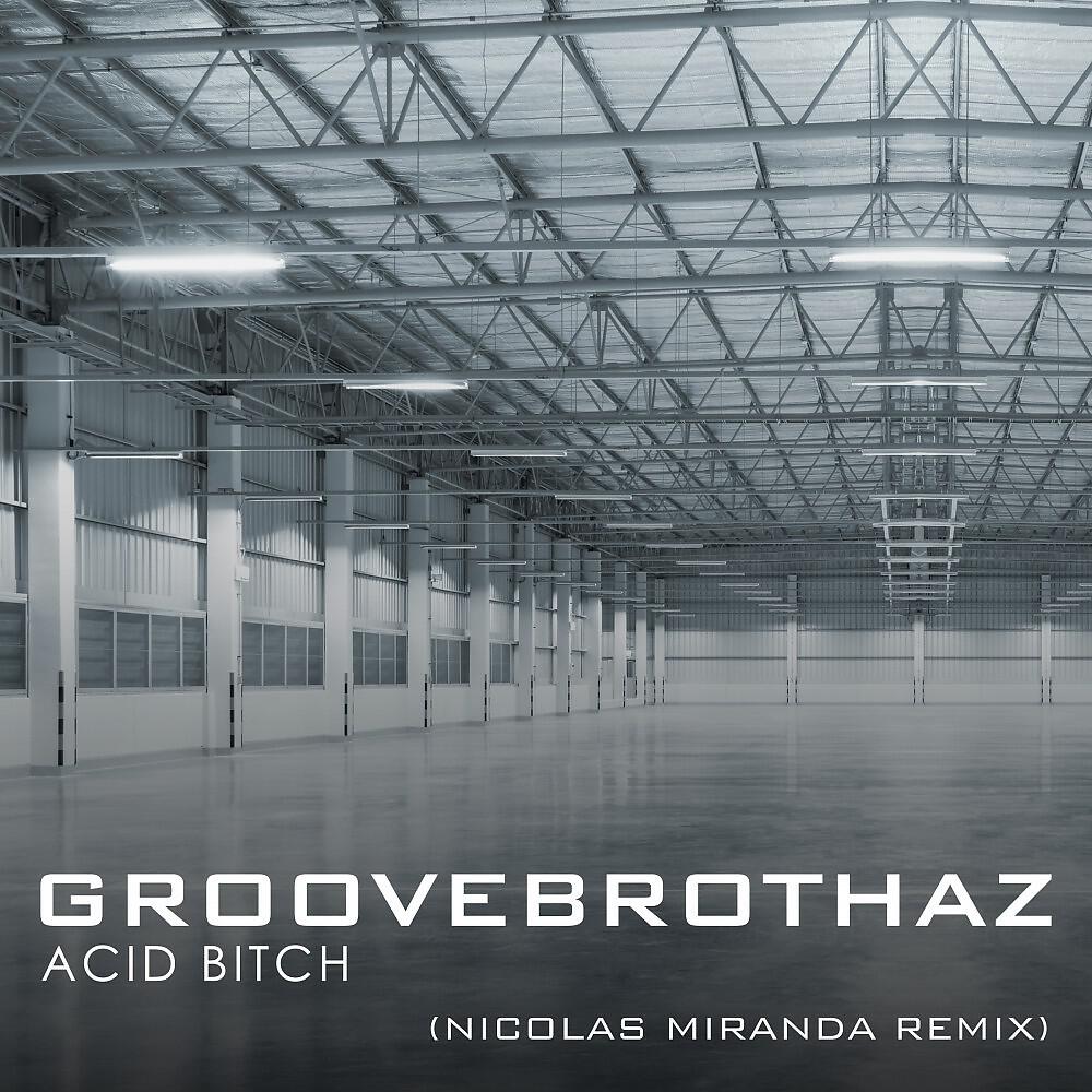Релиз Acid Bitch (Nicolas Miranda Remix)
