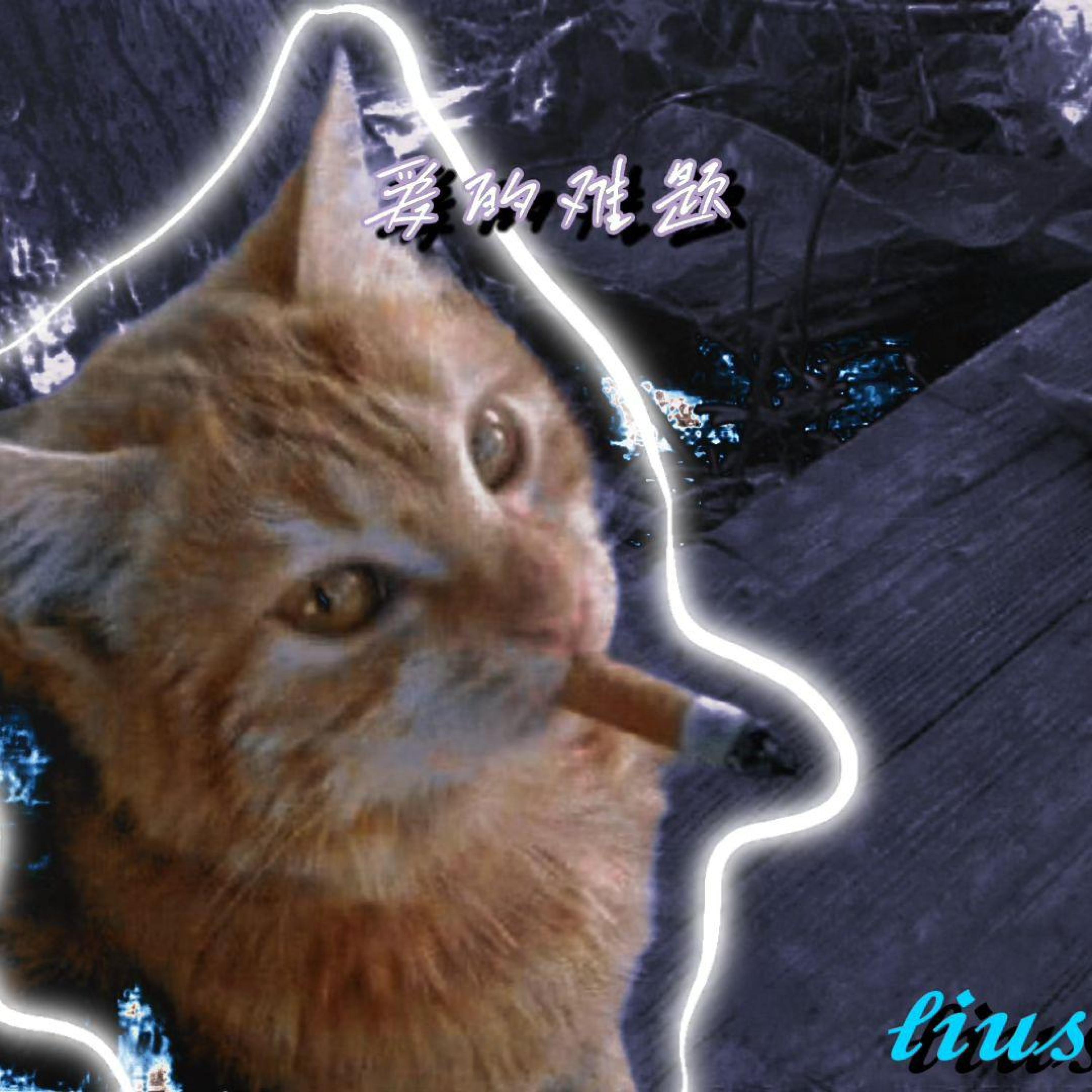Релиз 爱的难题