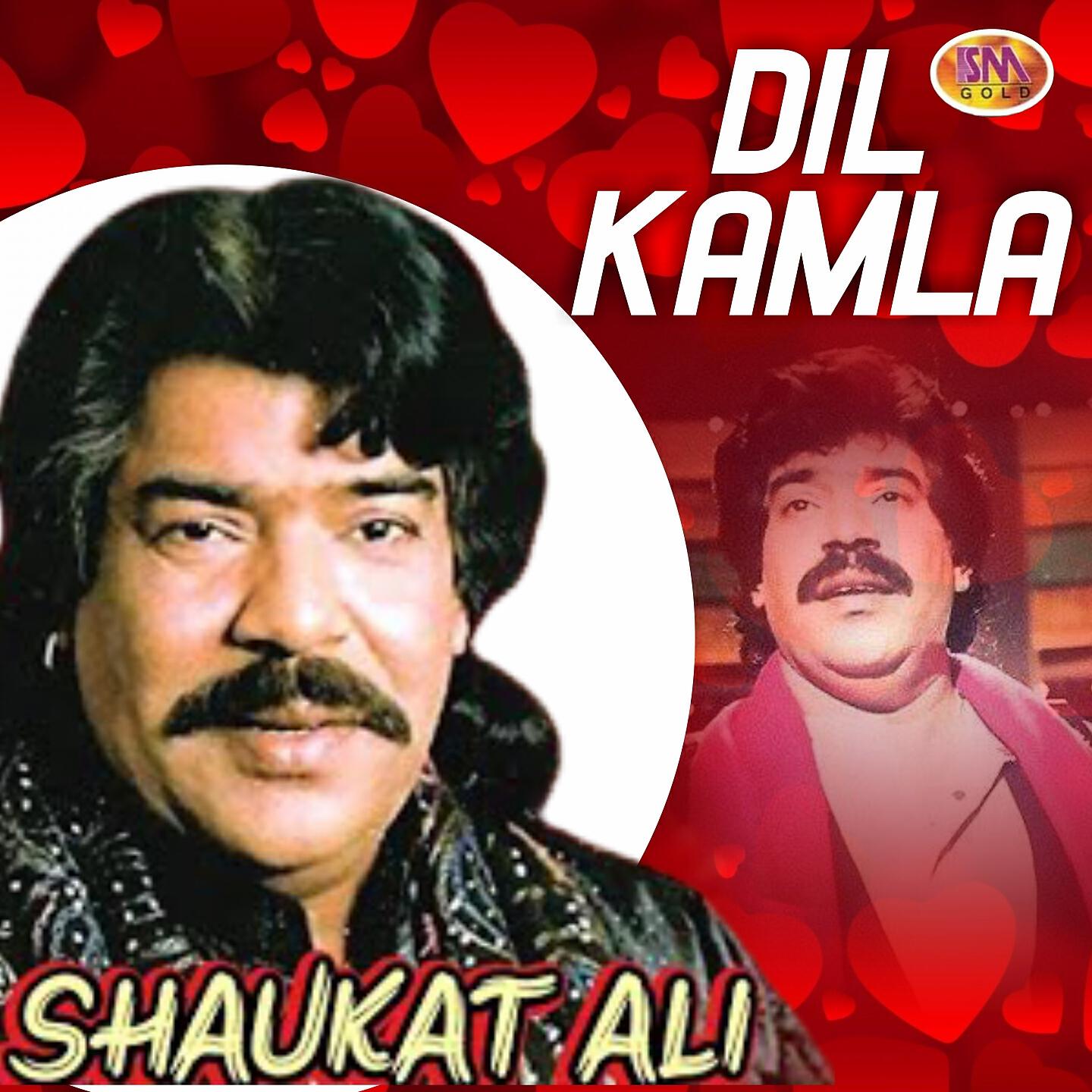 Релиз Dil Kamla