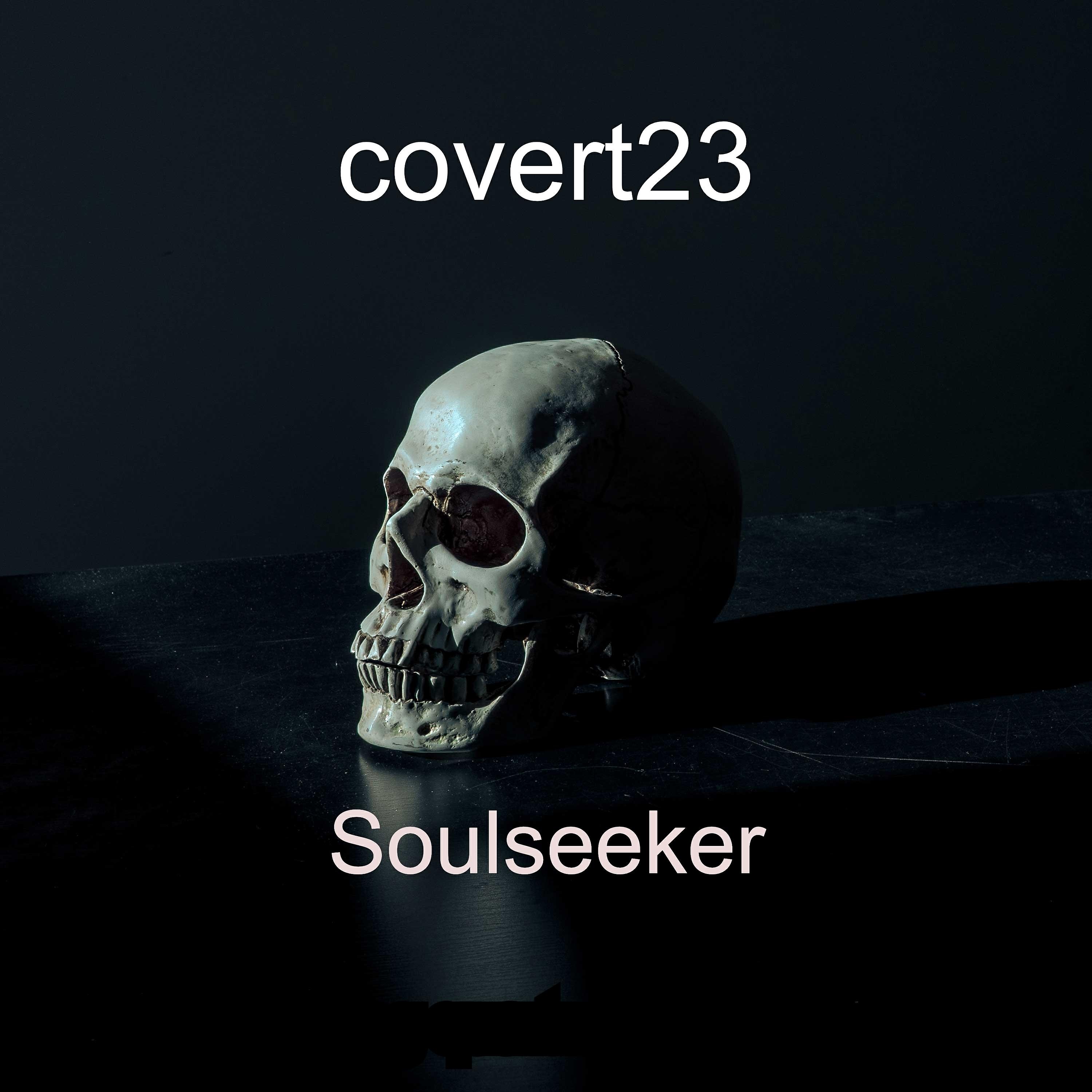 Релиз Soulseeker