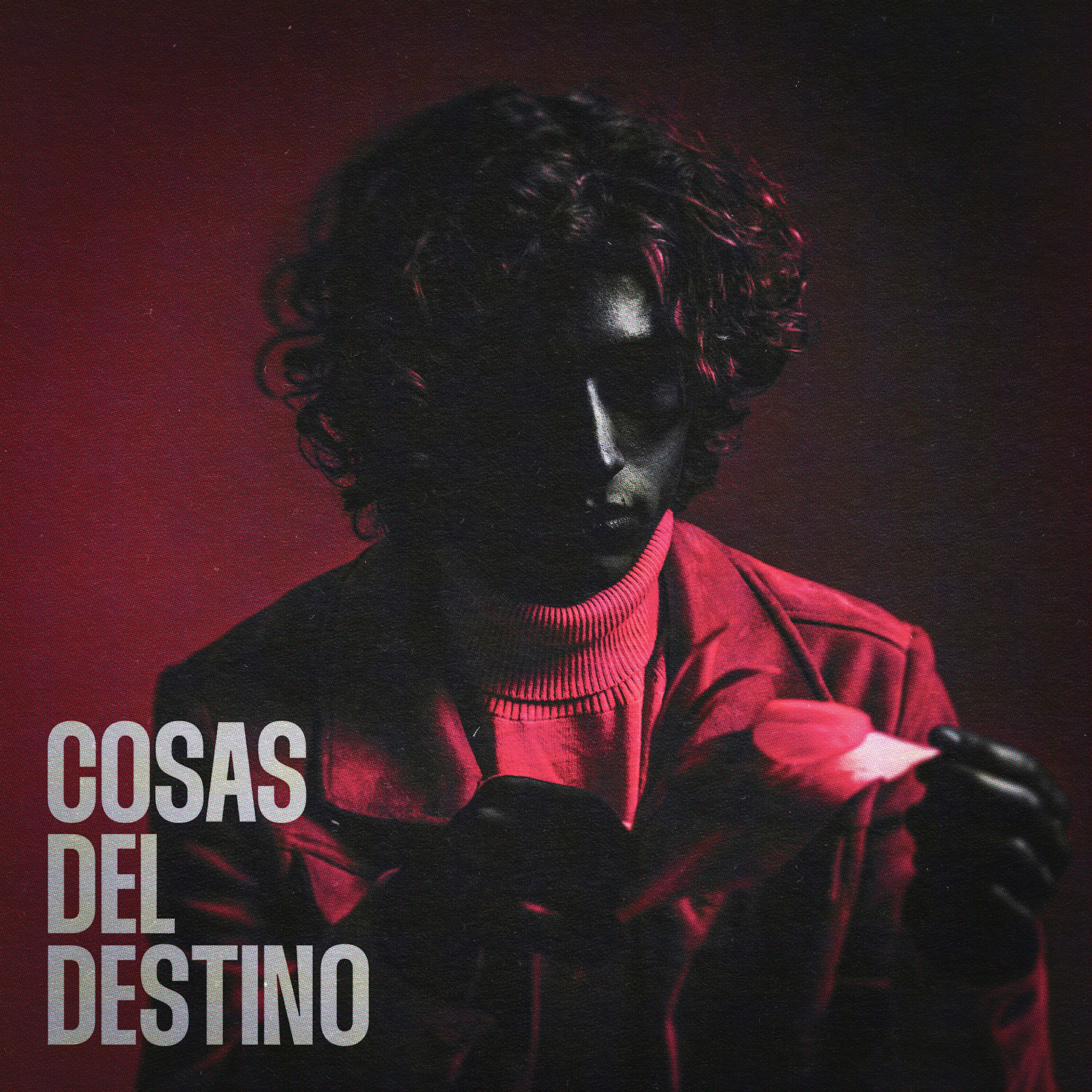 Релиз Cosas del Destino