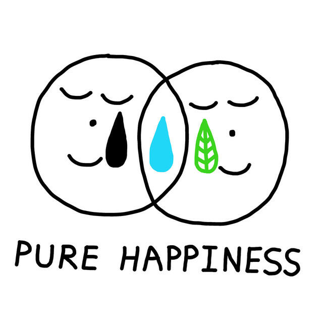 Релиз Pure Happiness