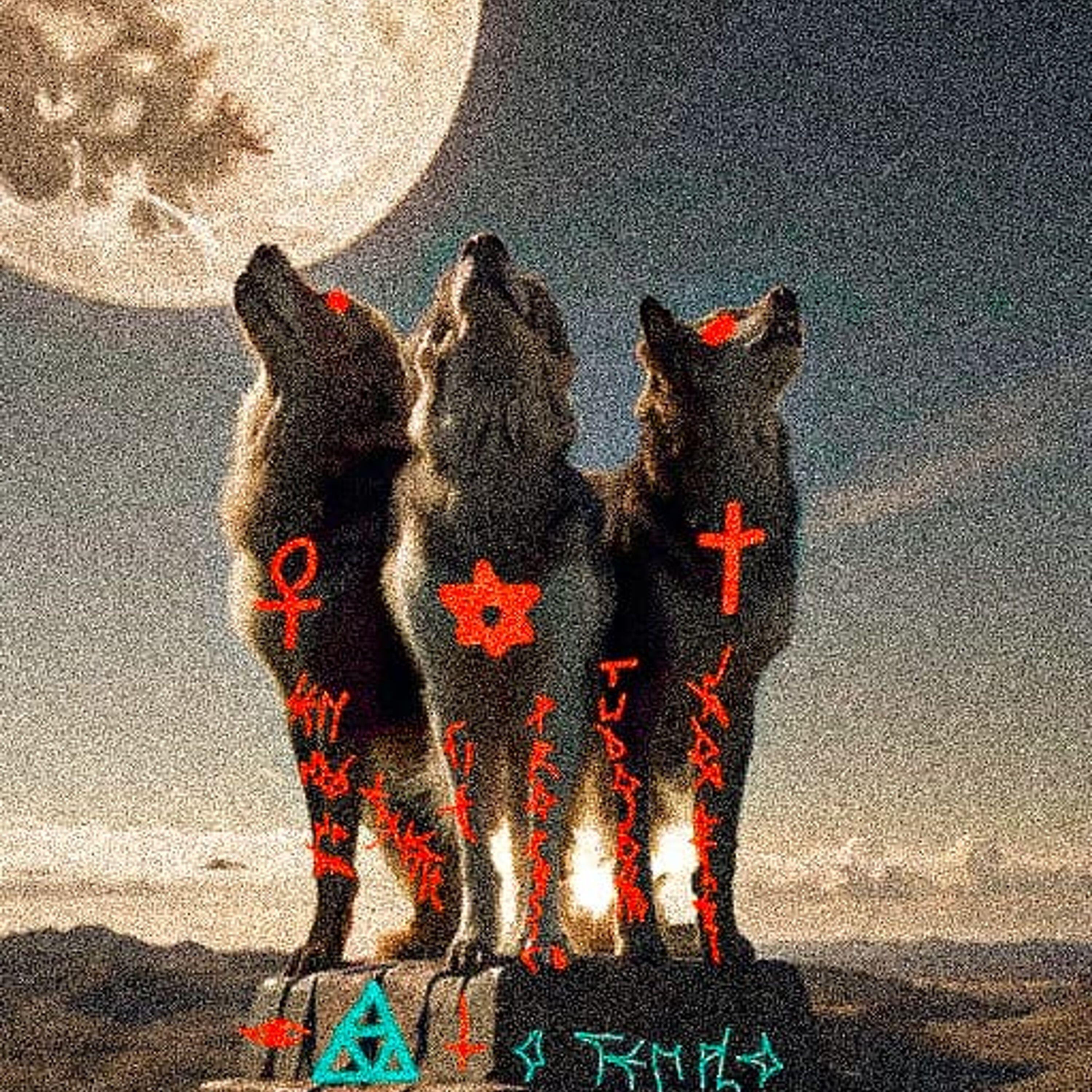 Релиз Lobos da Noite 2