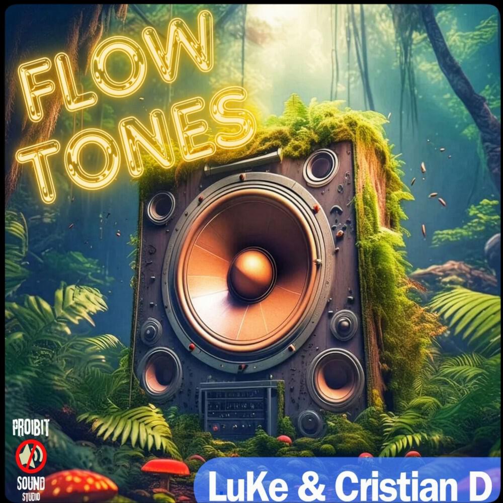 Релиз Flow Tones (Original Mix)