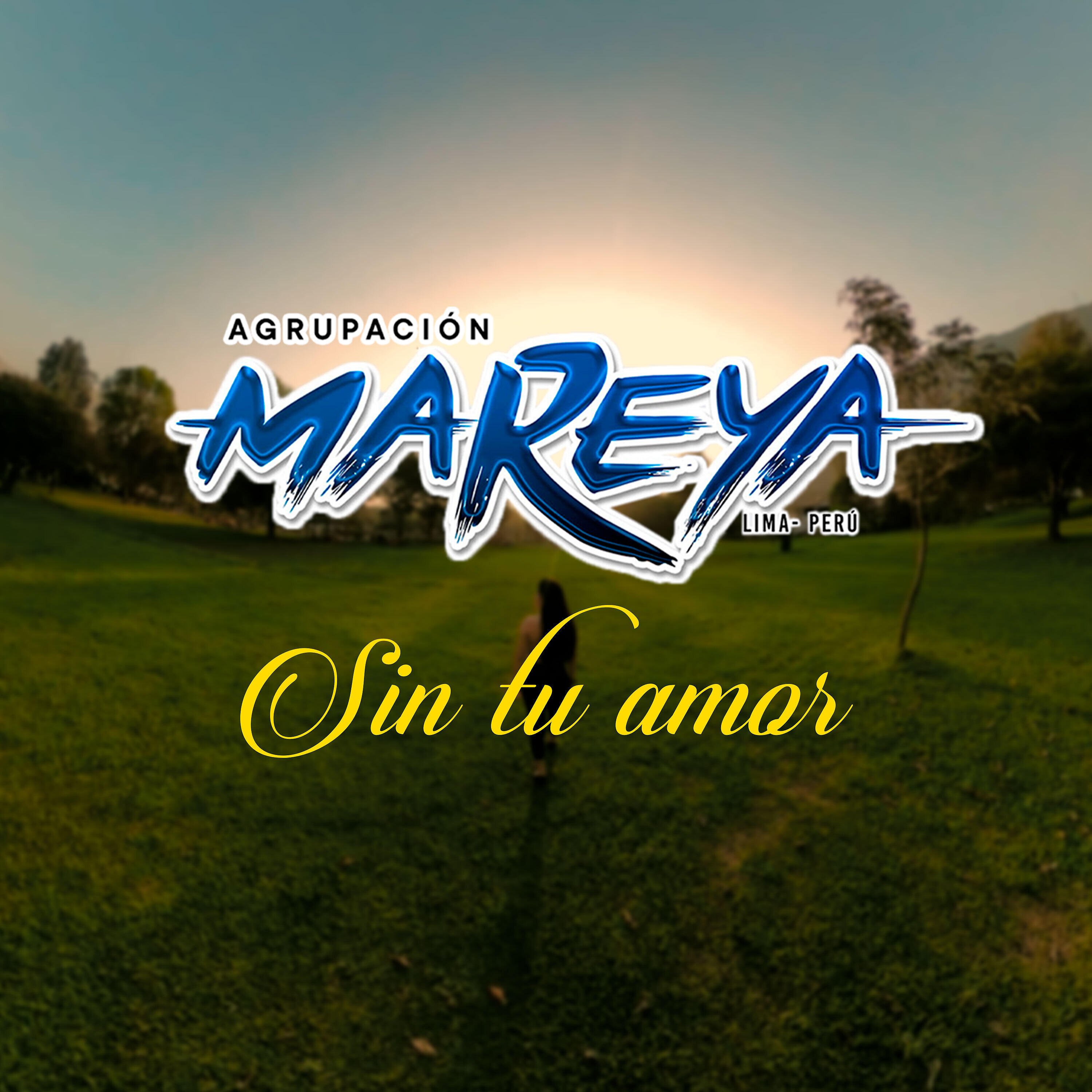 Релиз Sin Tu Amor