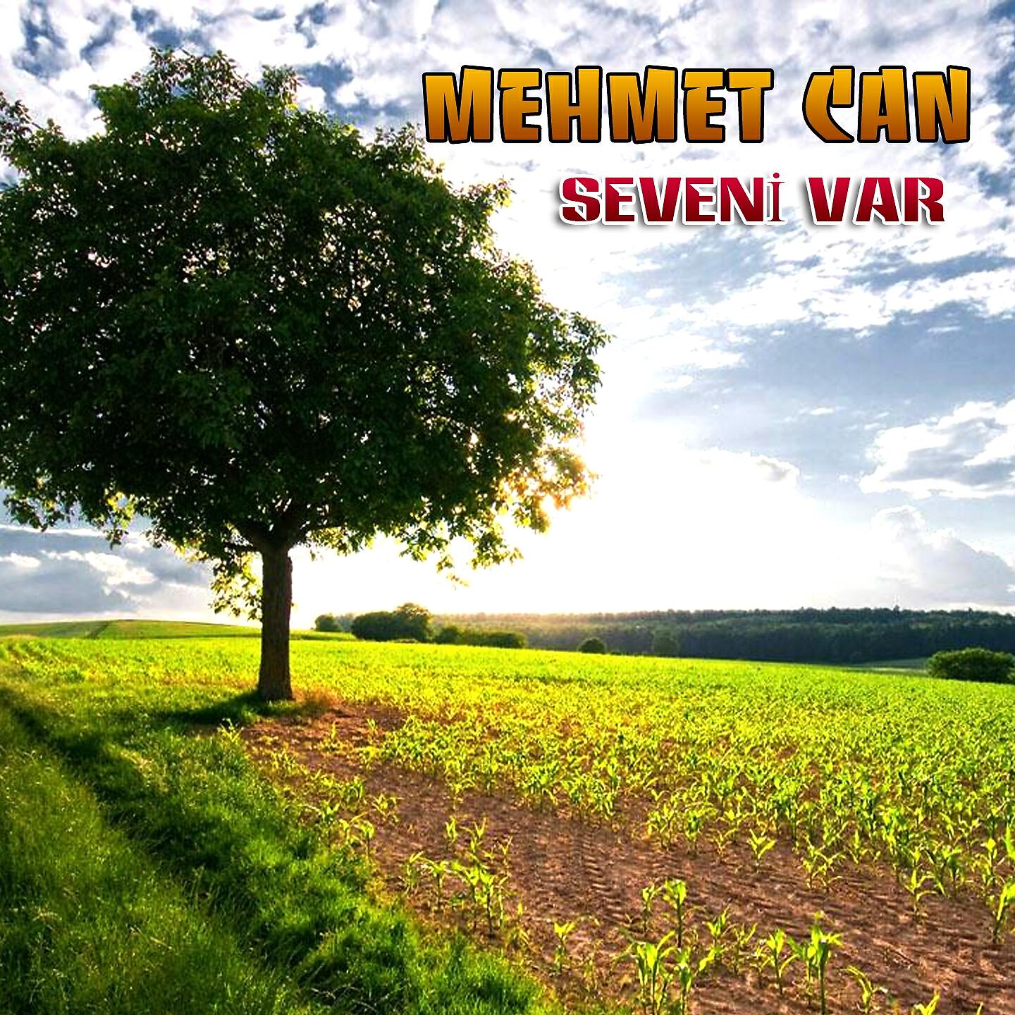 Релиз Seveni Var