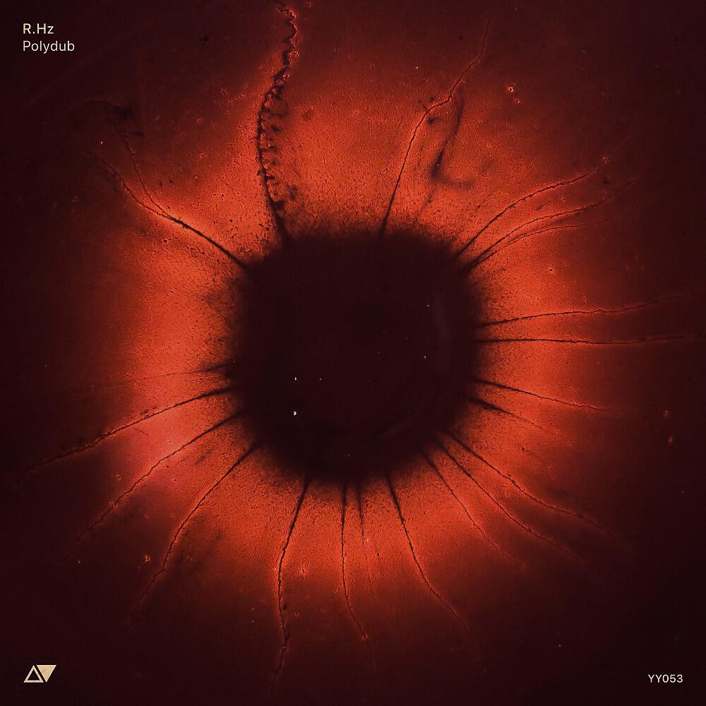 Релиз Polydub