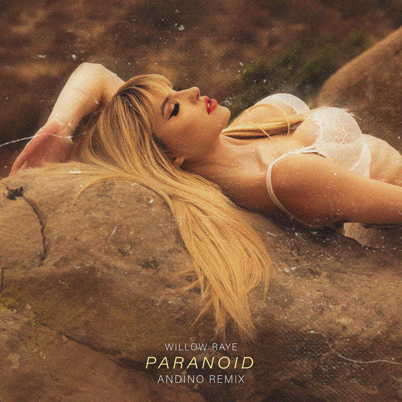 Скачать песню Willow Raye, Andino - Paranoid (Remix) бесплатно в MP3 для Android и iOS