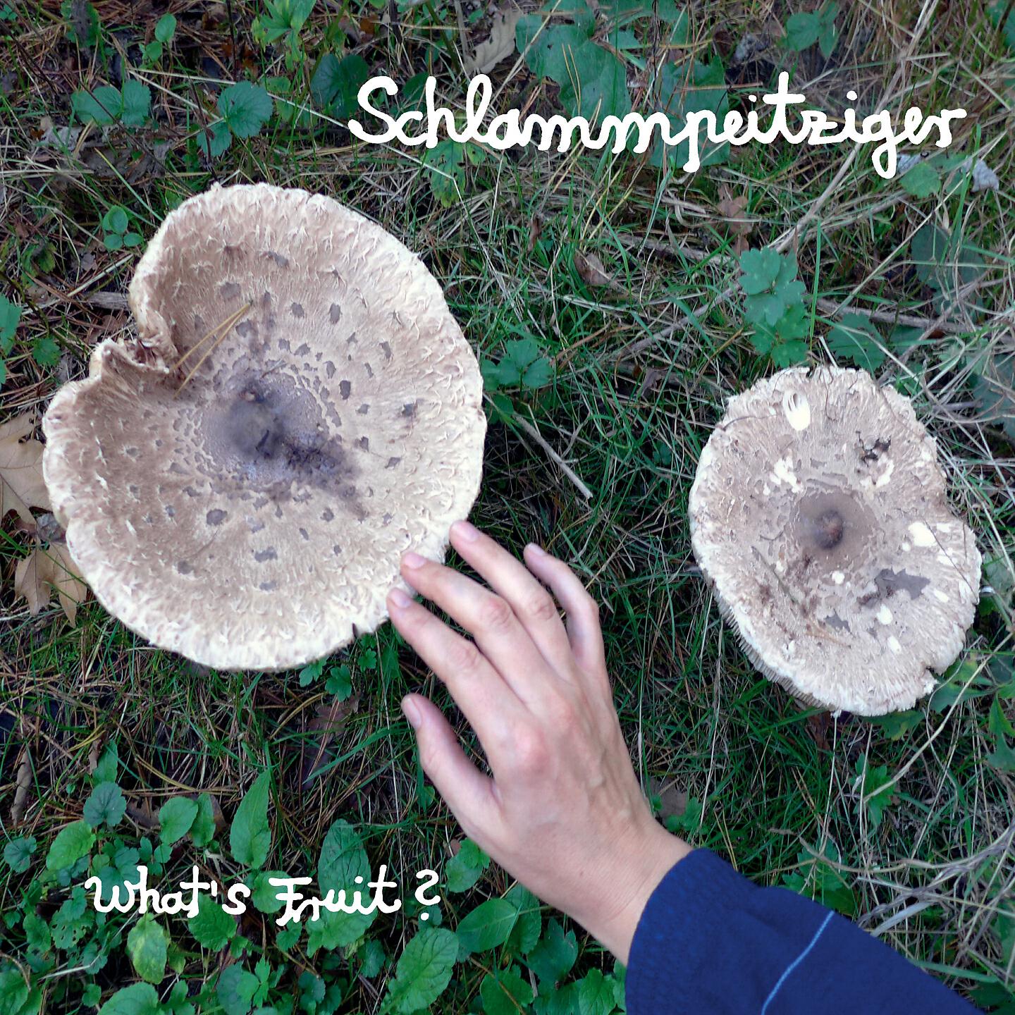 Релиз What's Fruit