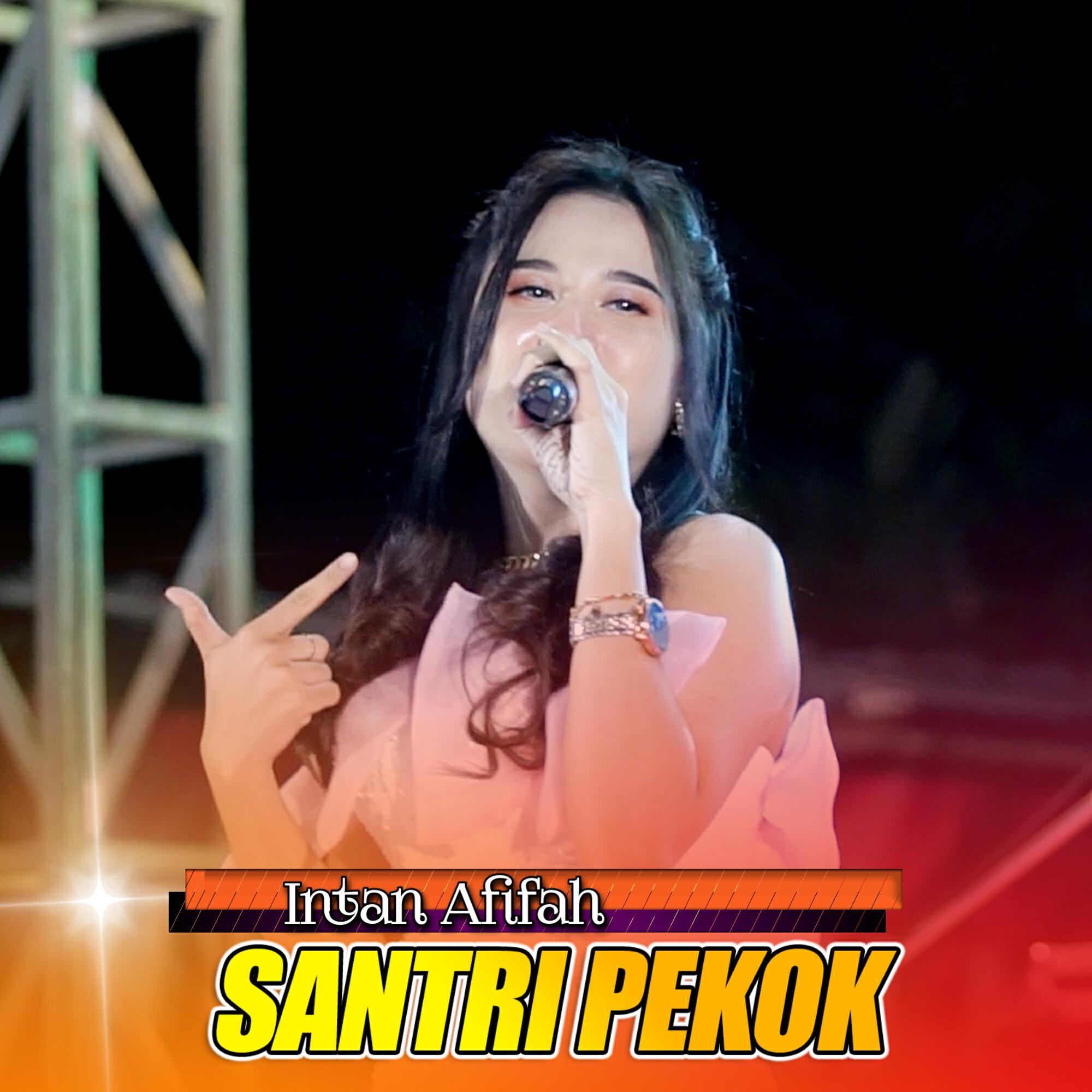 Релиз Santri Pekok