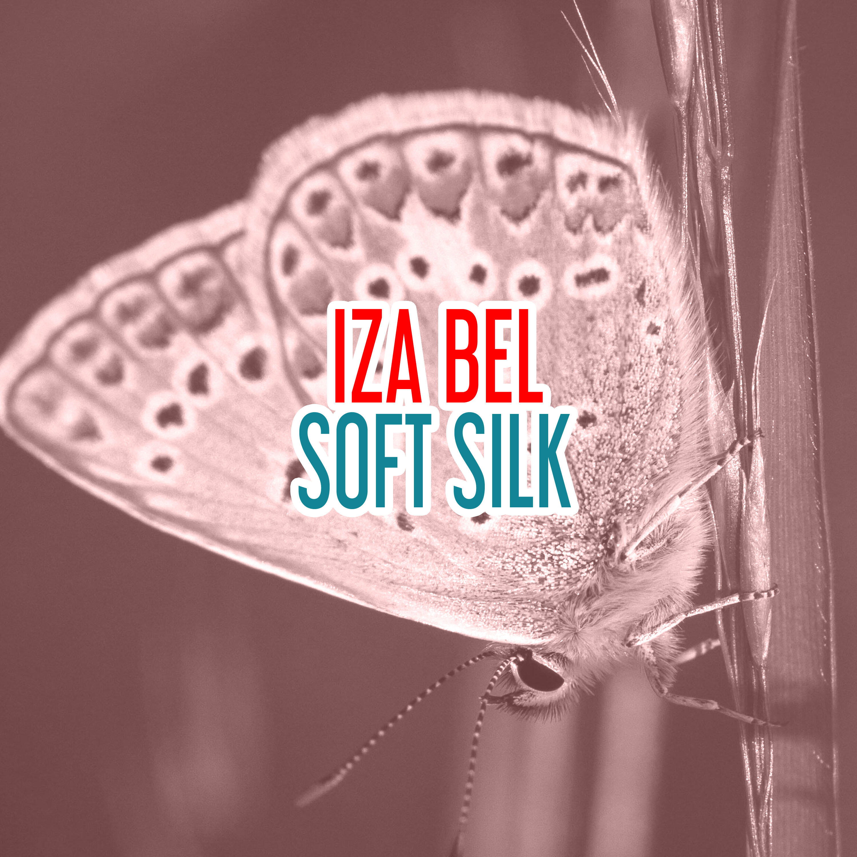 Релиз Soft Silk