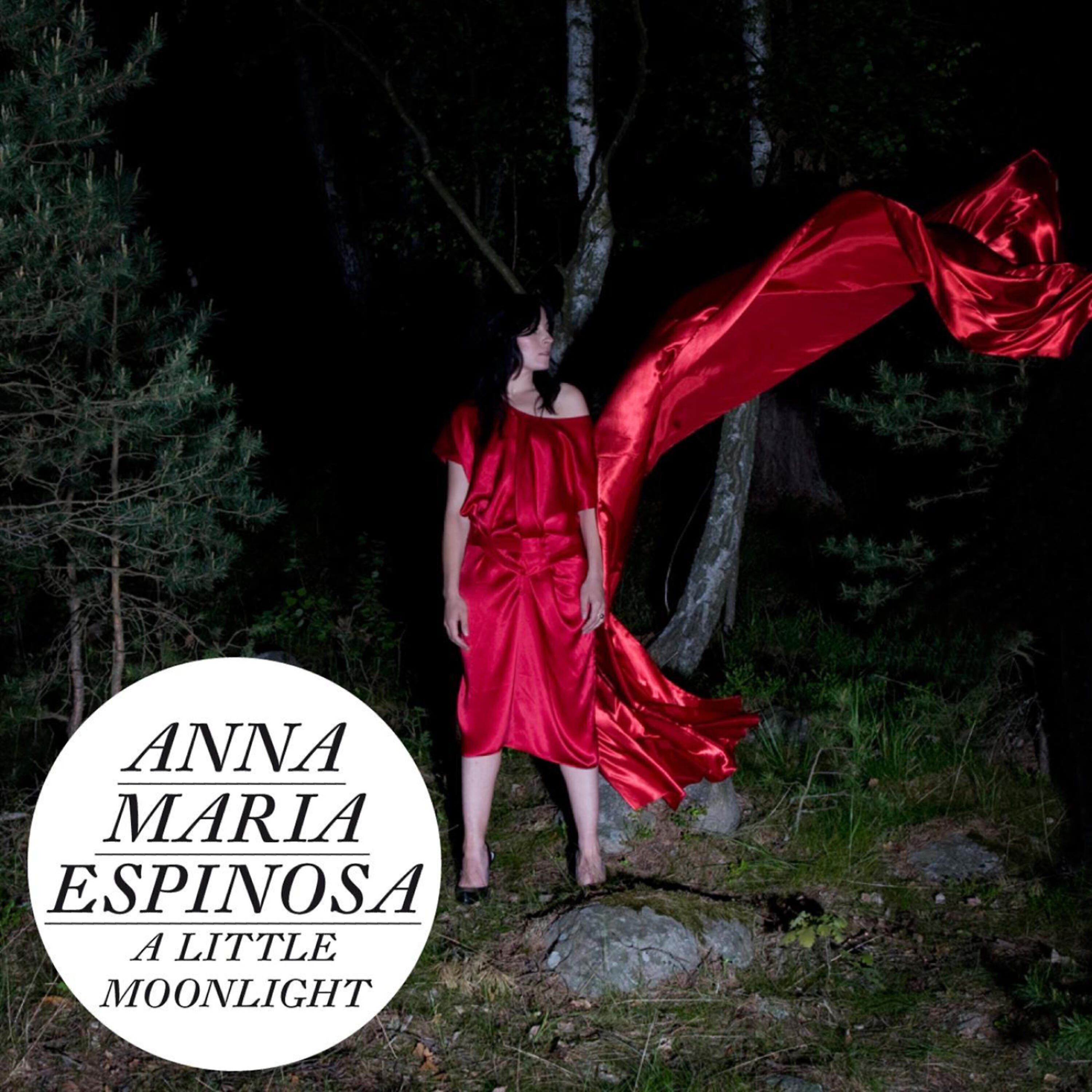 Релиз A Little Moonlight