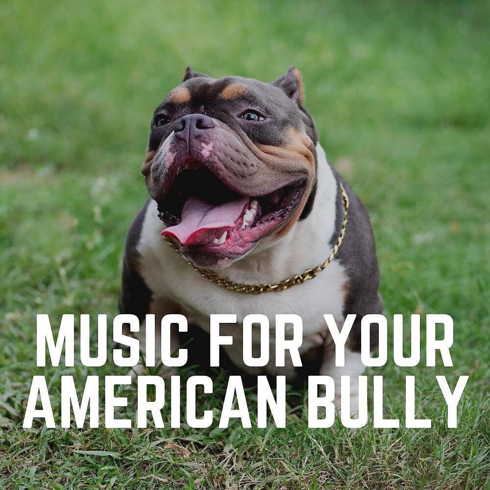 Релиз Music for Your American Bully